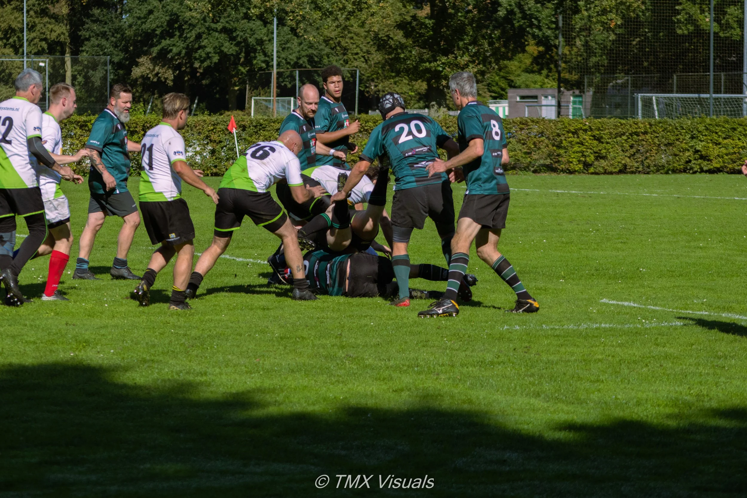IMG_8169.jpg