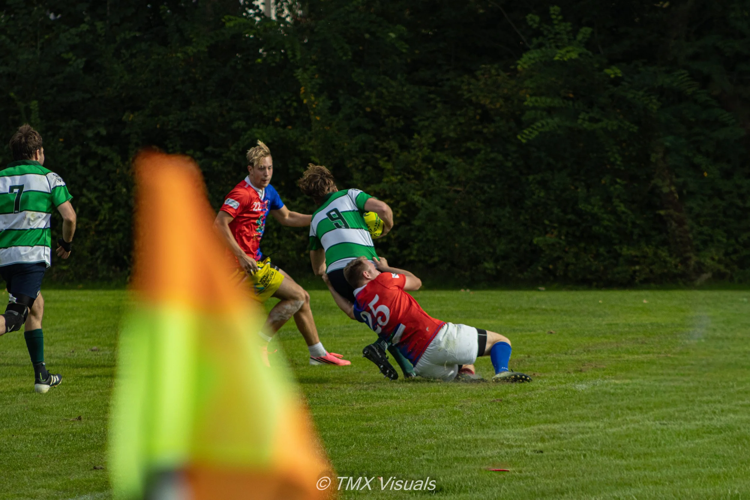 IMG_6719.jpg