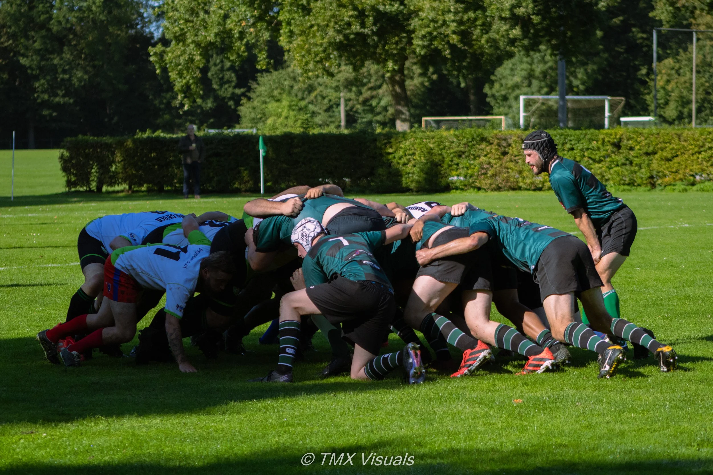 IMG_7954.jpg