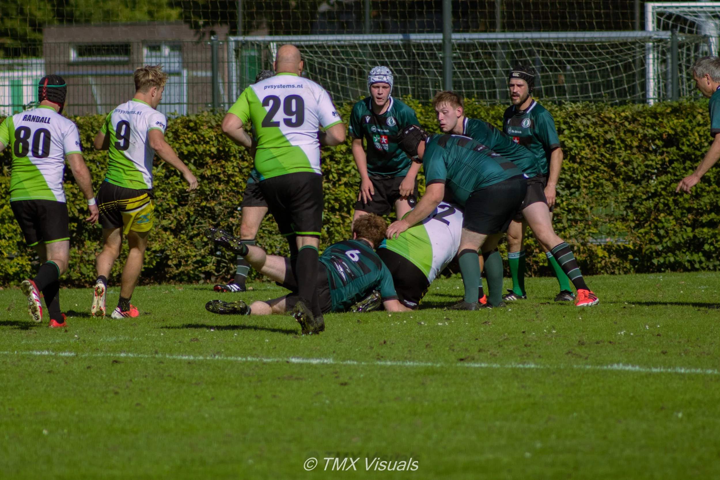 IMG_7887.jpg