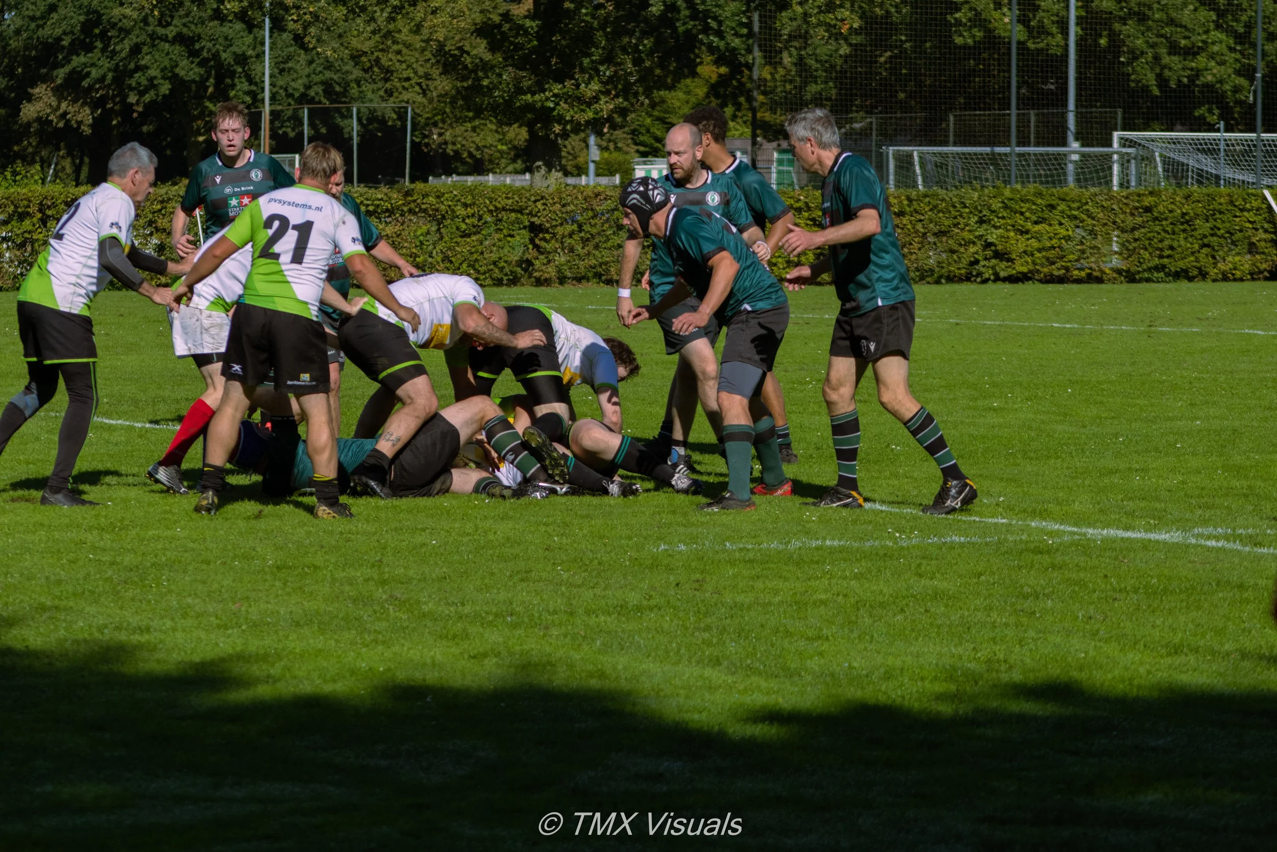 IMG_8175.jpg