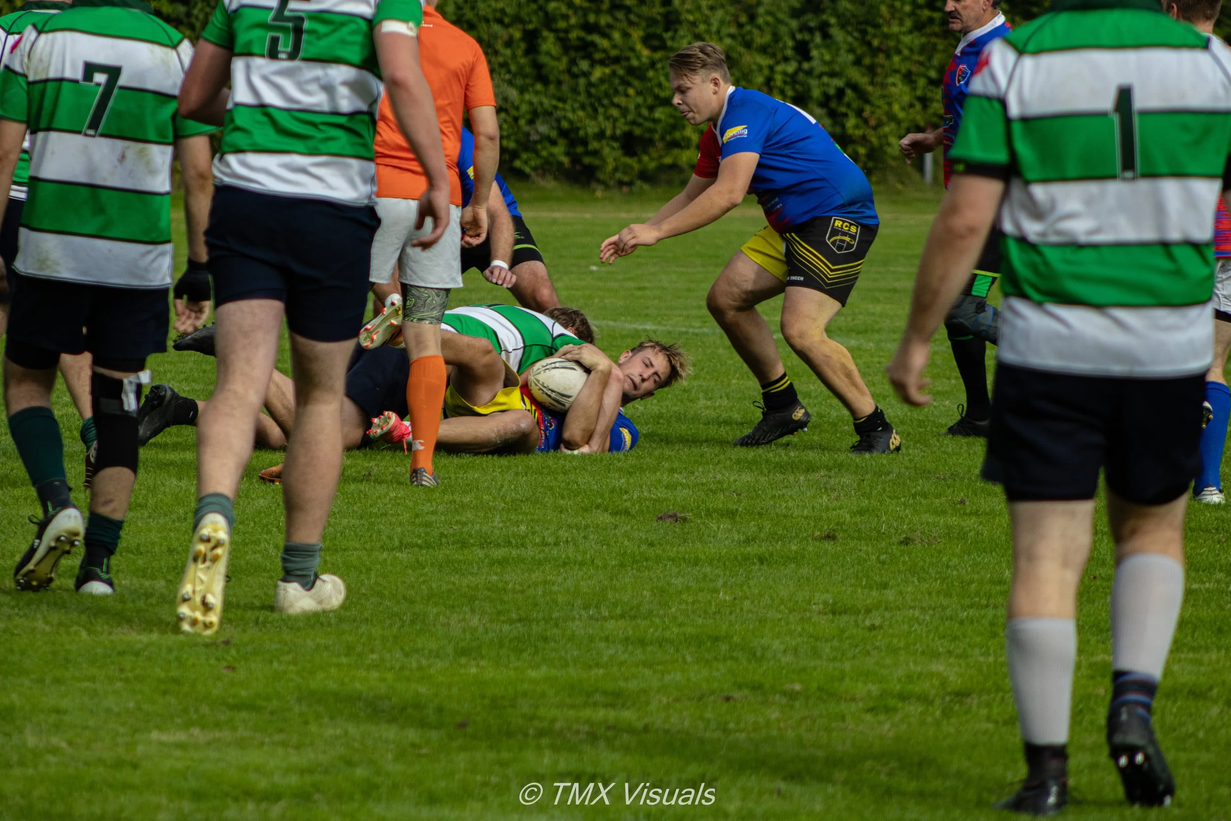 IMG_6546.jpg