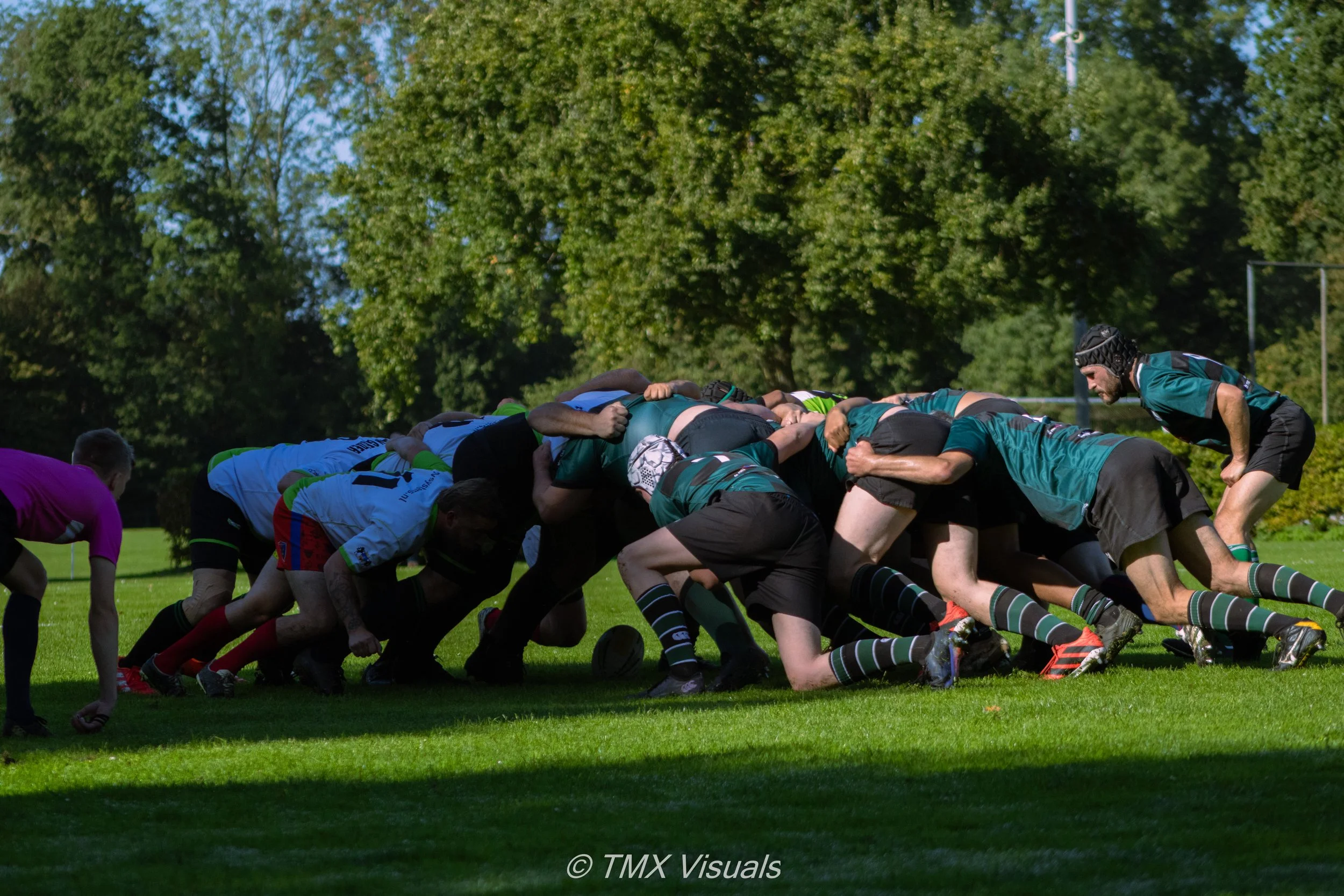 IMG_7966.jpg