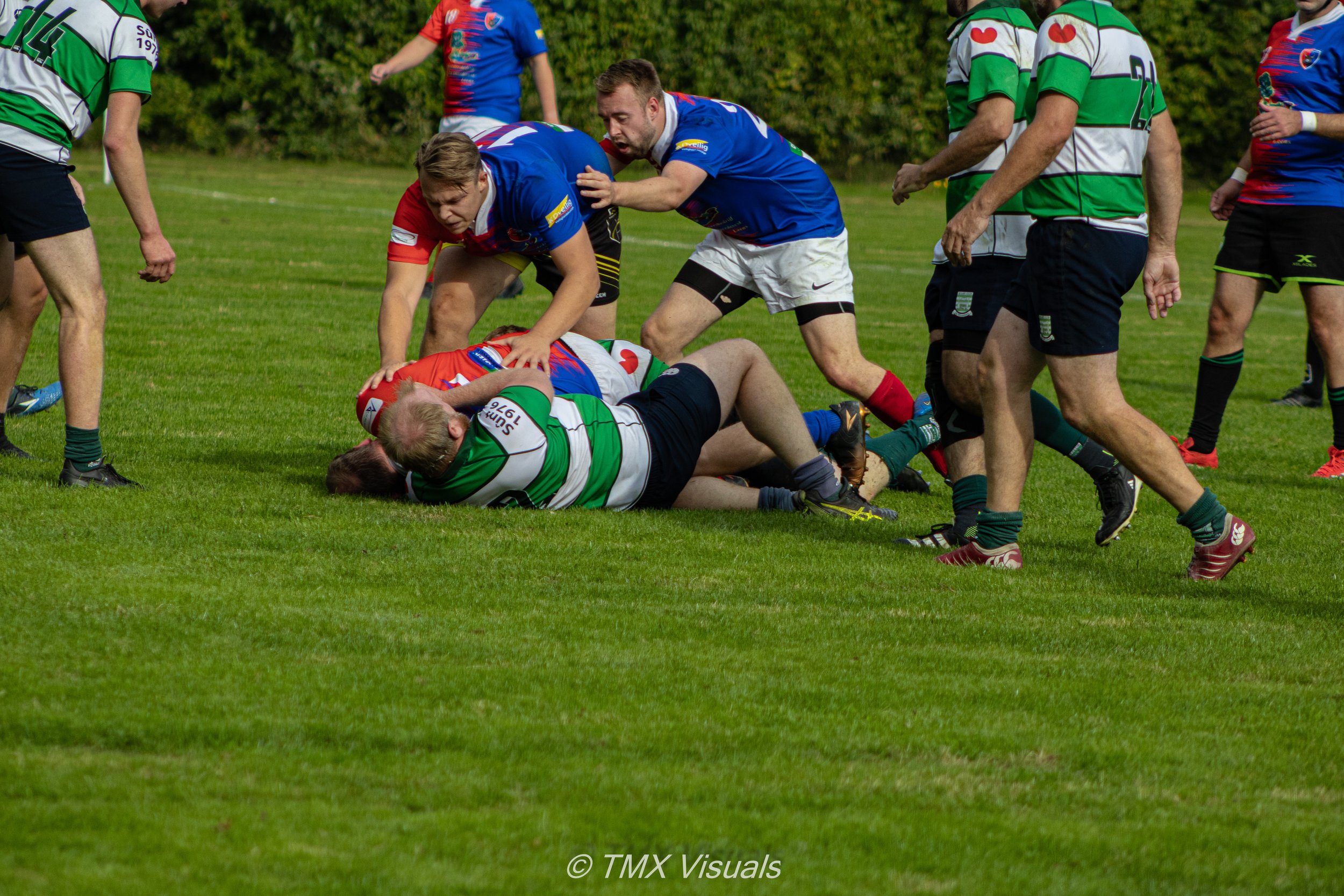 IMG_6569.jpg