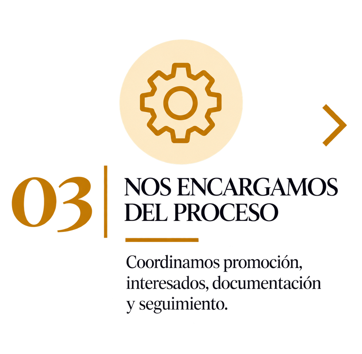 Icono de engranaje en círculo y texto que dice '03 | Nos encargamos del proceso', seguido de descripción de coordinación, interés, documentación y seguimiento.