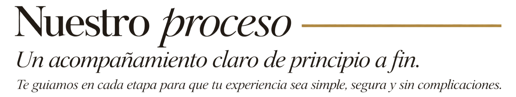 Texto en español sobre un proceso con una línea decorativa.