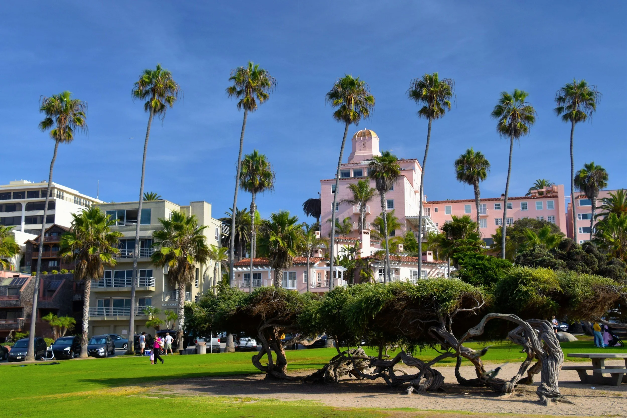San Diego architecture and palms near Balboa Park