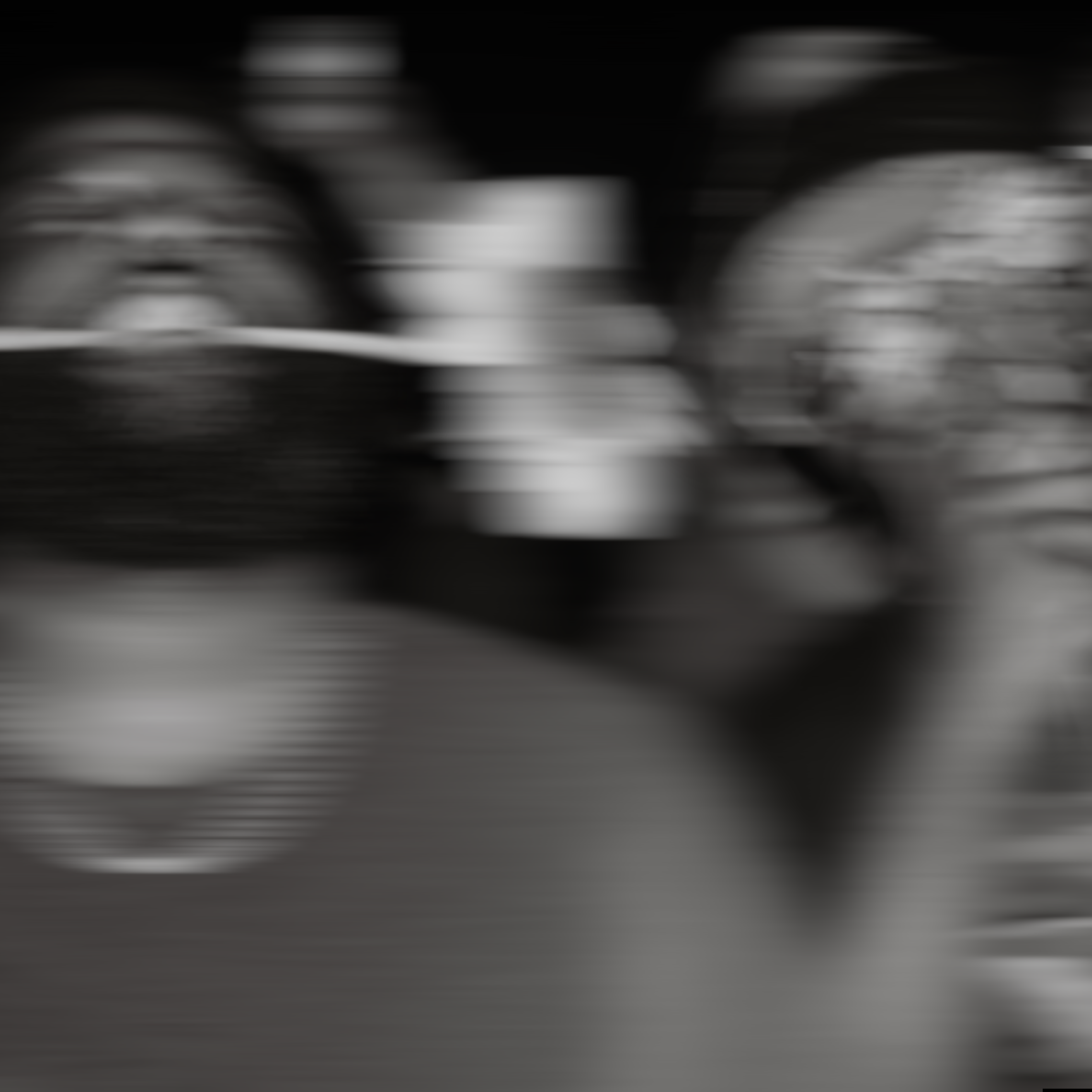 Blurred black and white image with indistinct shapes and streaks.