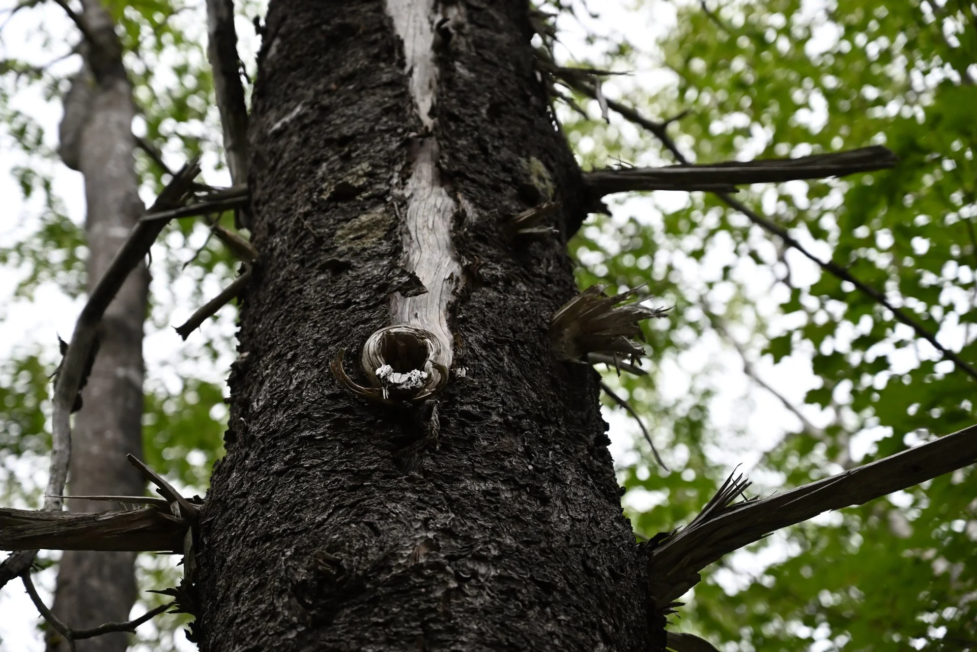 DSC_3139_01.JPG