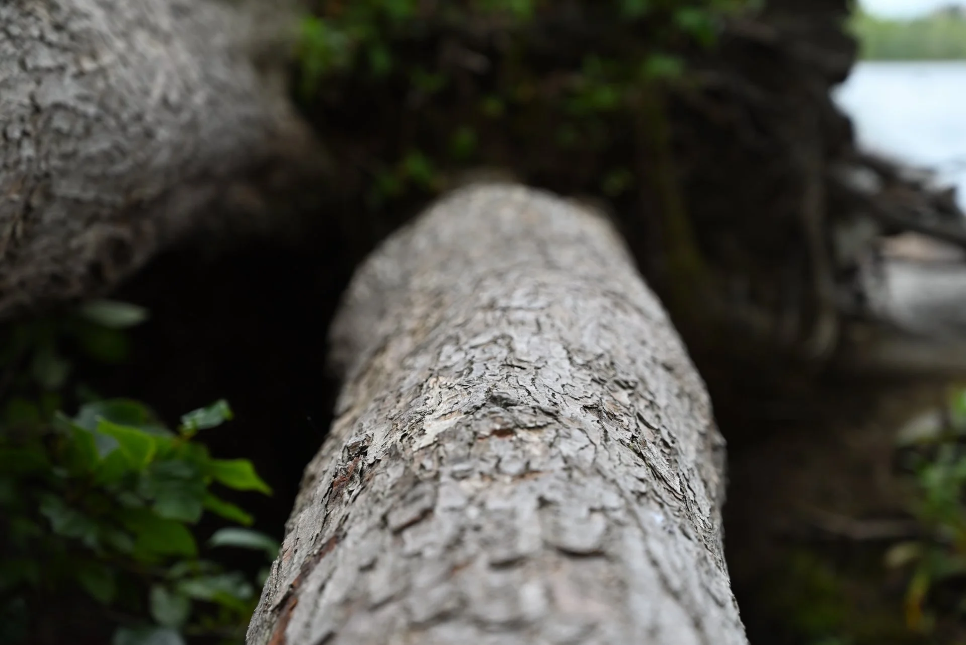 DSC_3112.JPG