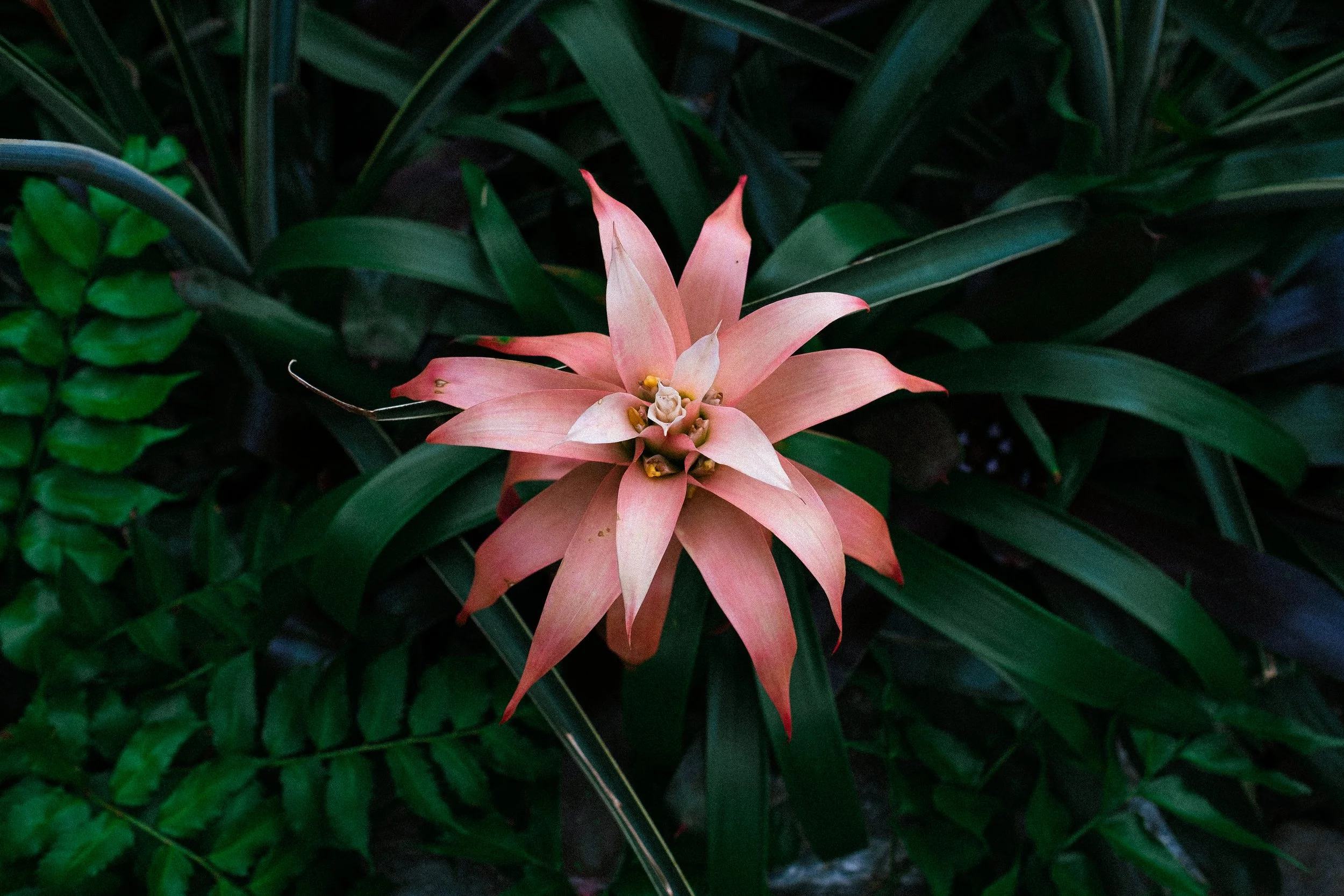 DSCF8200.jpg