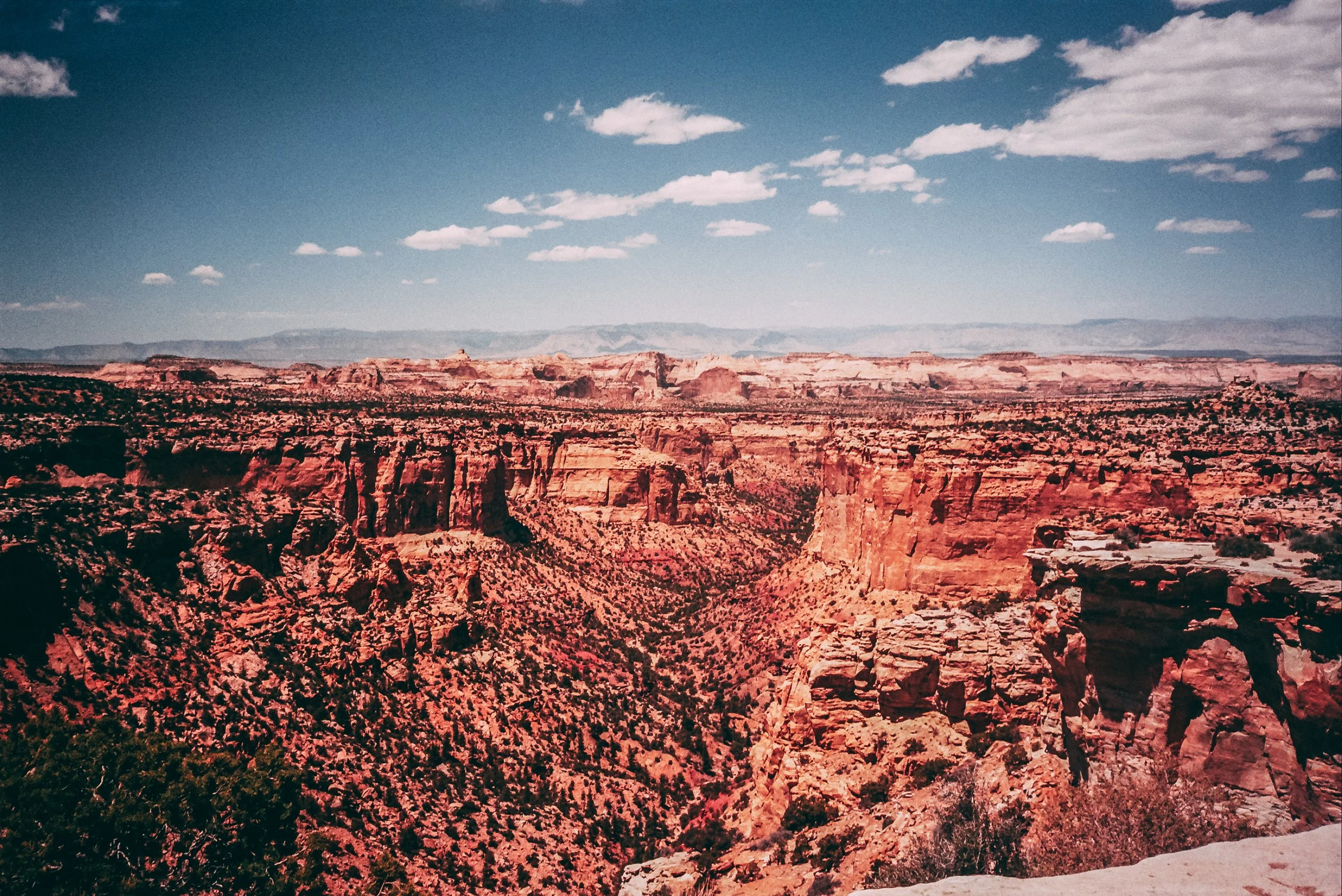 __9_1394.jpg