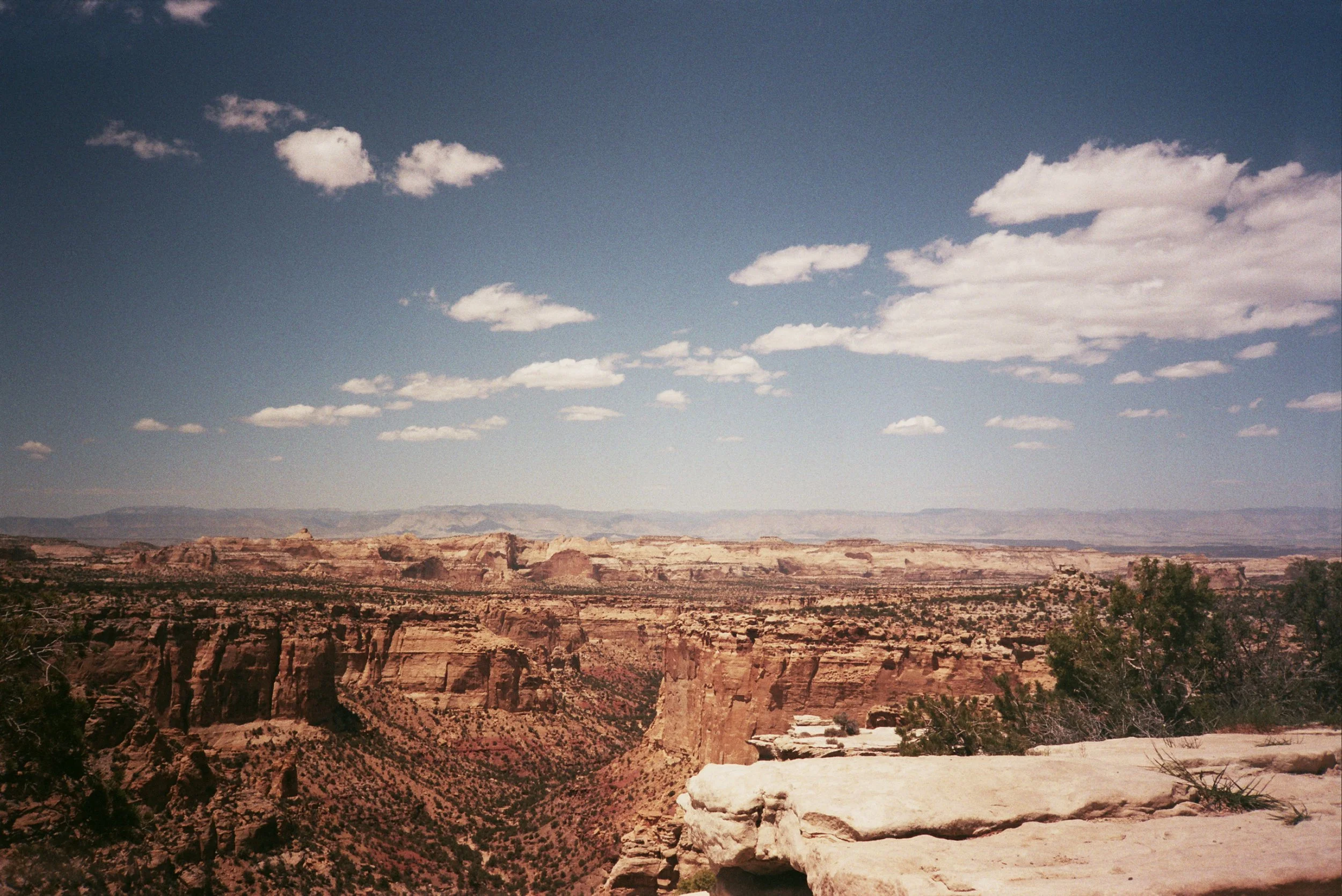 __8_1393.jpg