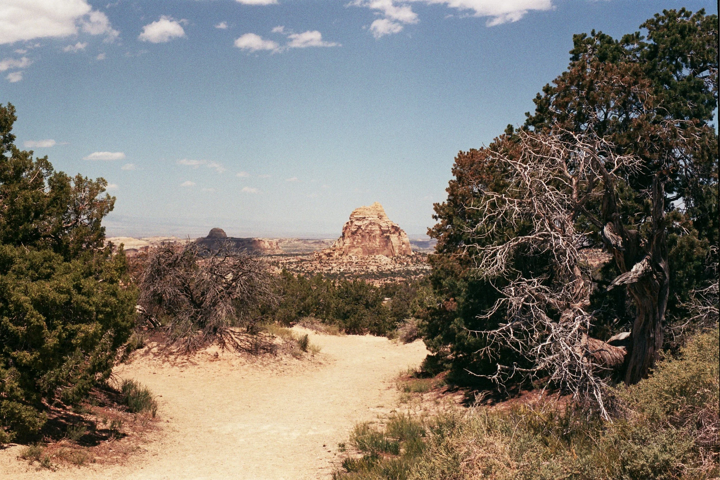 __6_1262.jpg