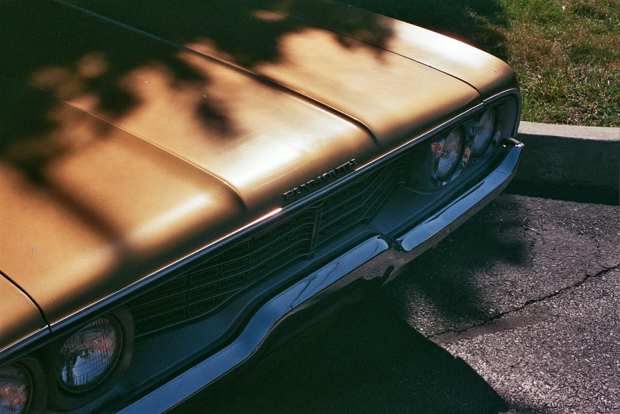 __7_0873.jpg