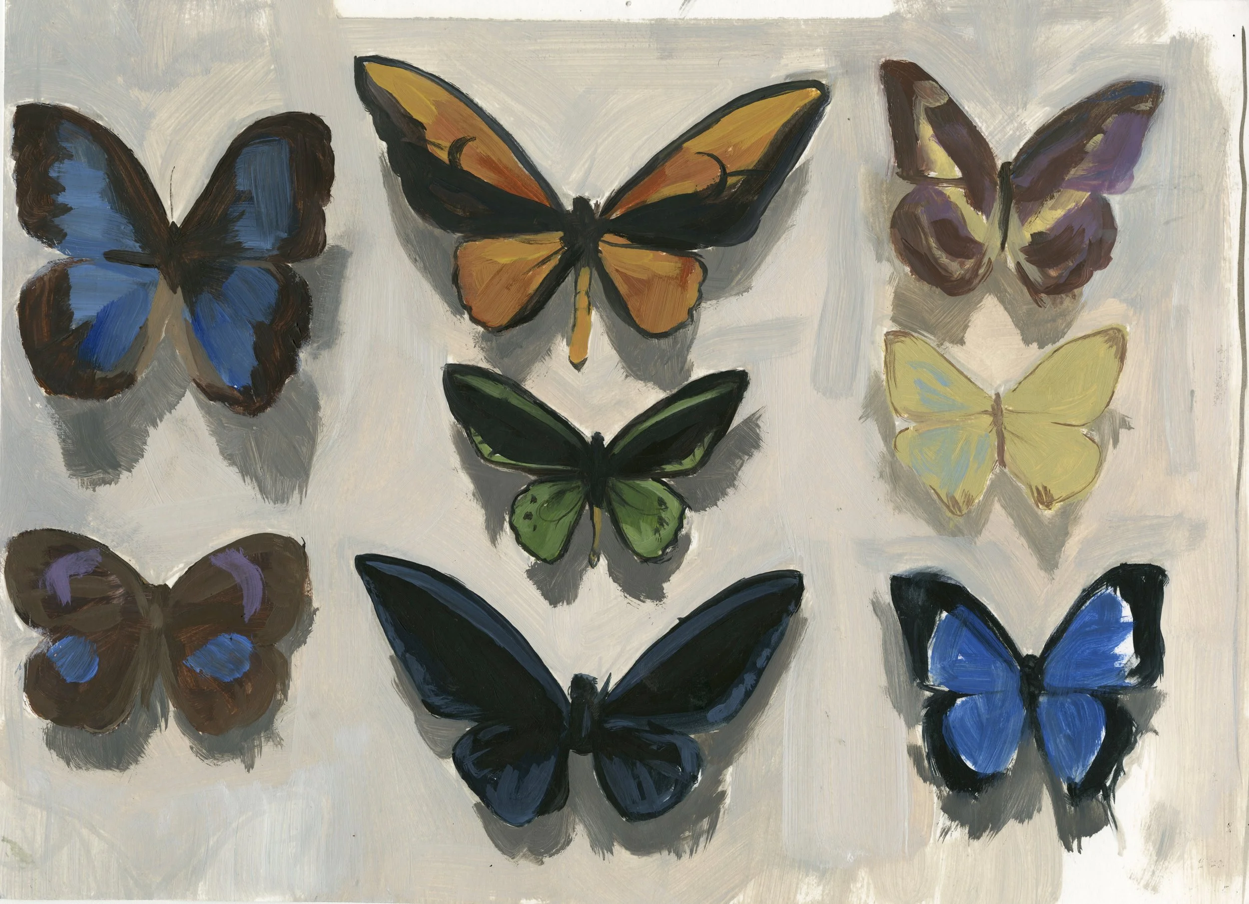 butterflies.jpg