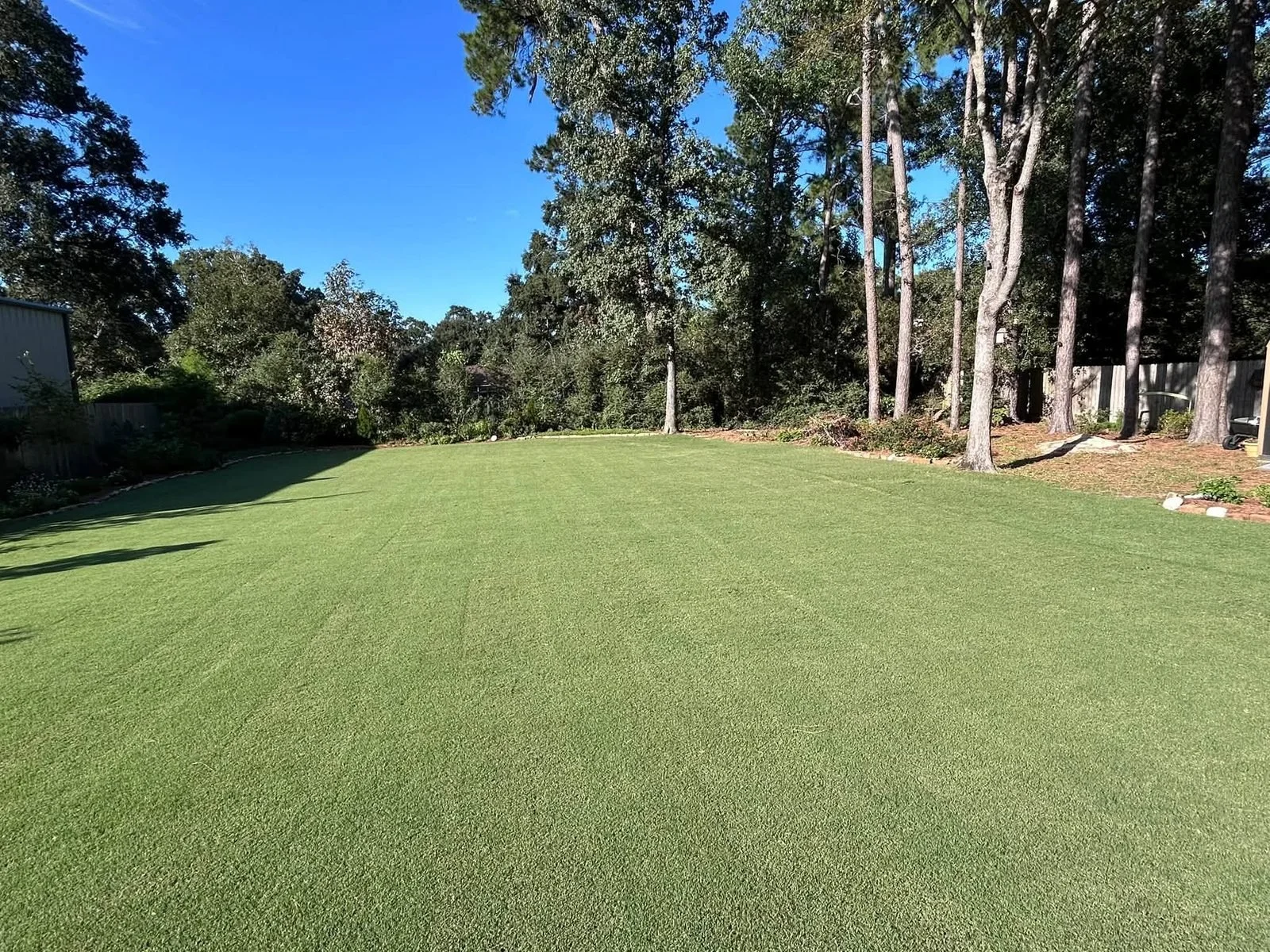 Patrick's wide backyard Bermuda lawn lined with tall pines