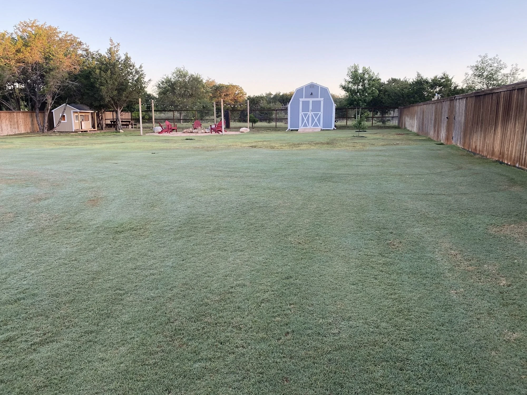 Frosted, dormant Bermuda backyard