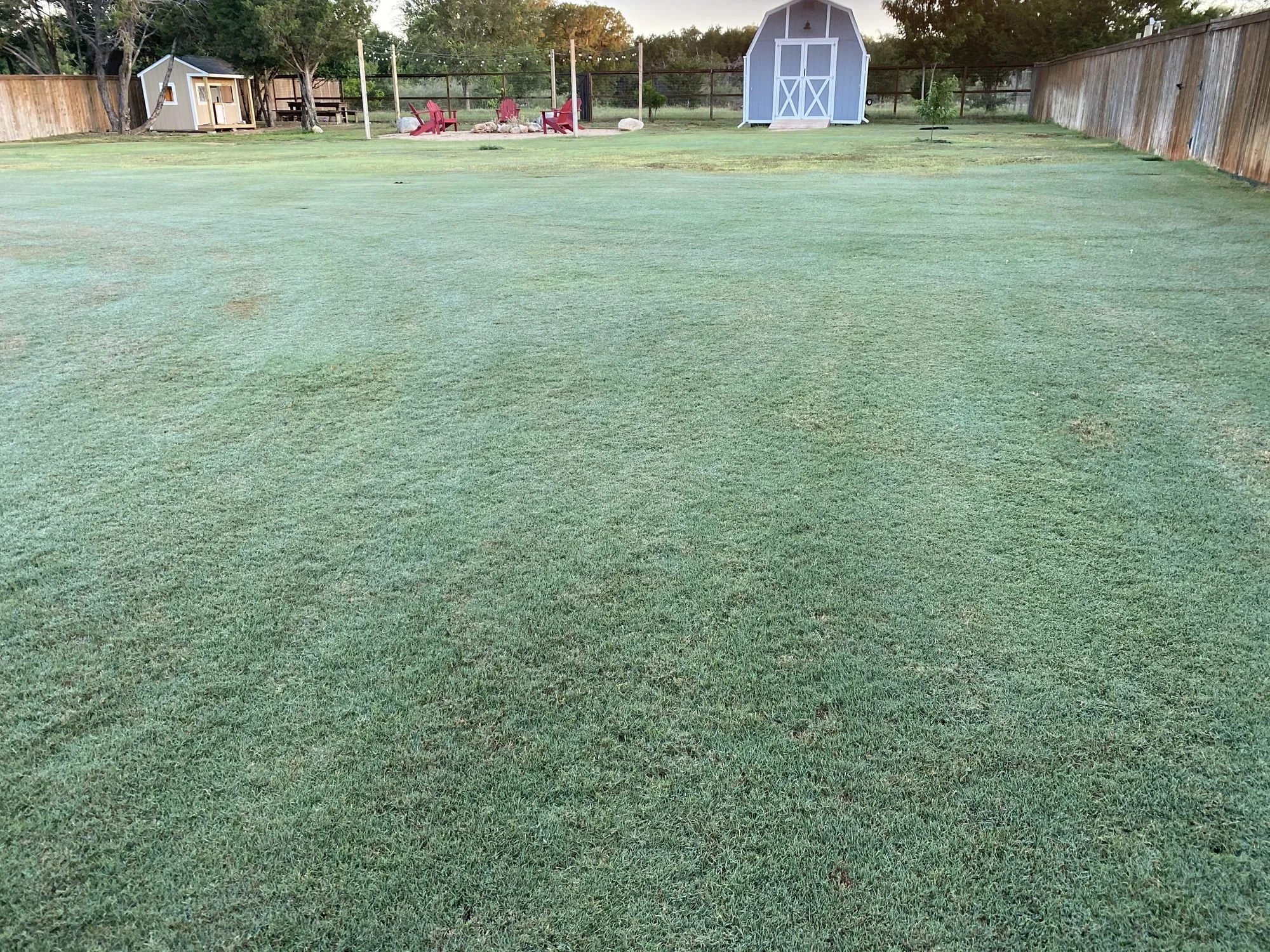 Wide dormant Bermuda backyard