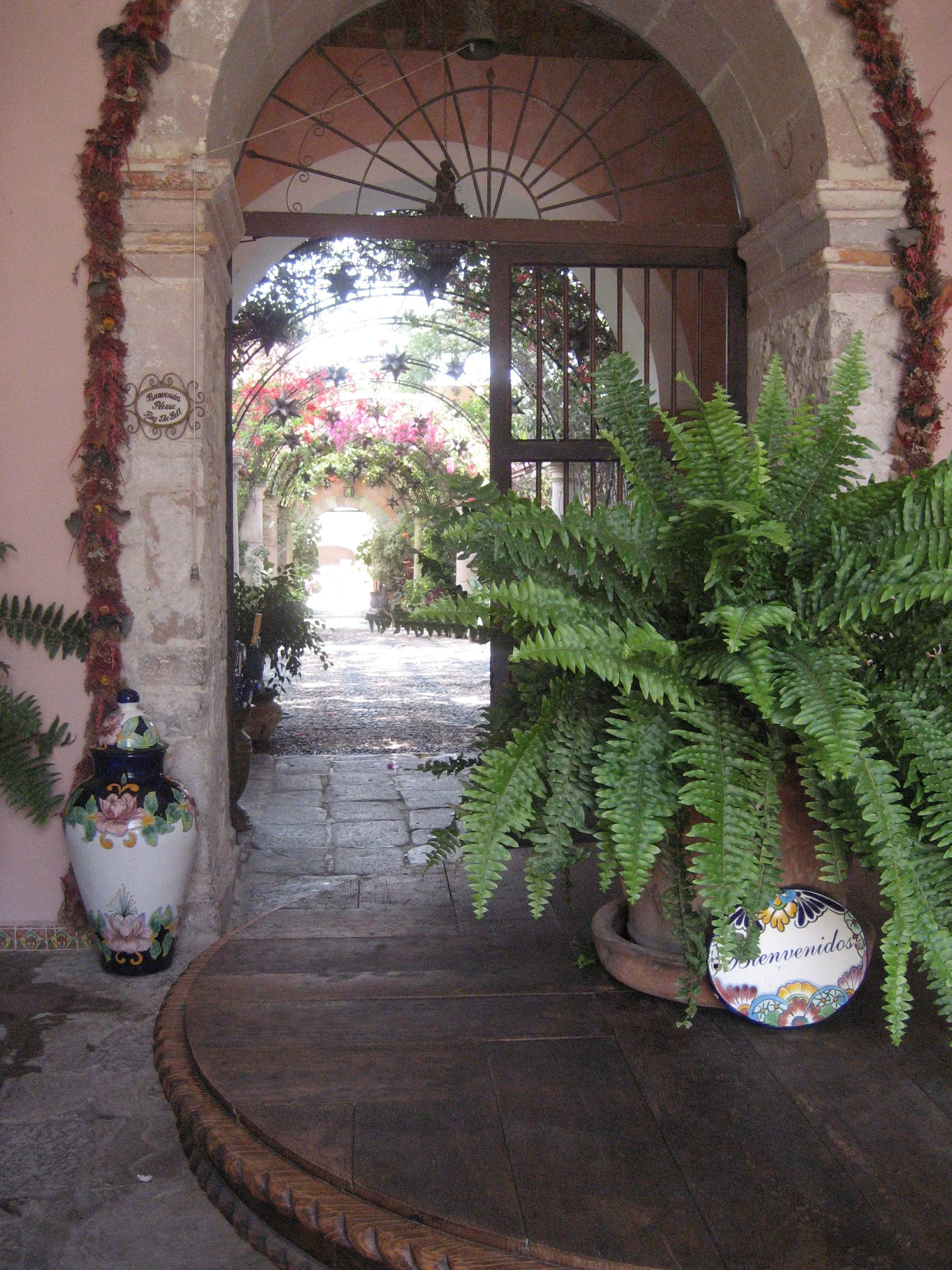 IMG_3425.jpeg