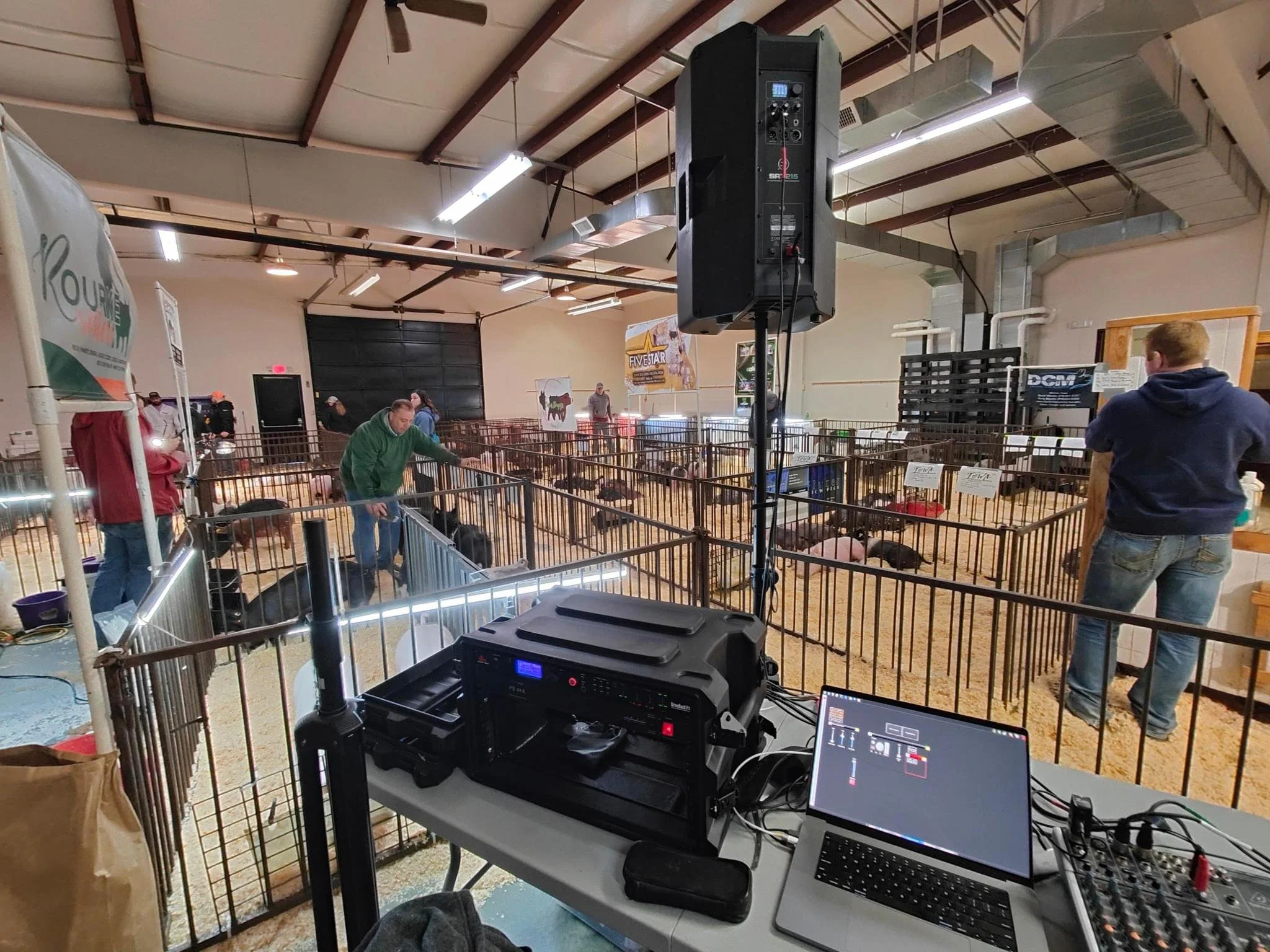 An indoor livestock exhibition with multiple pig pens, people examining the animals, and audio equipment set up on a table in the foreground.