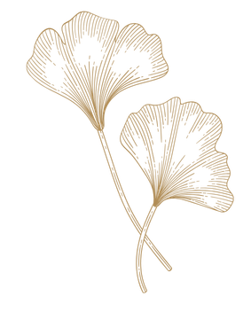 Gold outline drawing of two ginkgo leaves with detailed veins on a black background.