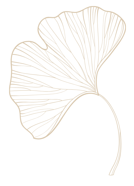 Line drawing of a ginkgo leaf in gold on a black background.