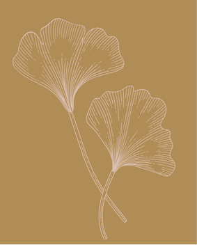Line drawing of two ginkgo leaves on a gold background.