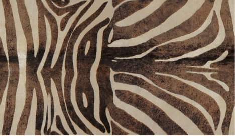 Close-up of zebra stripes on its fur with brown and white pattern.