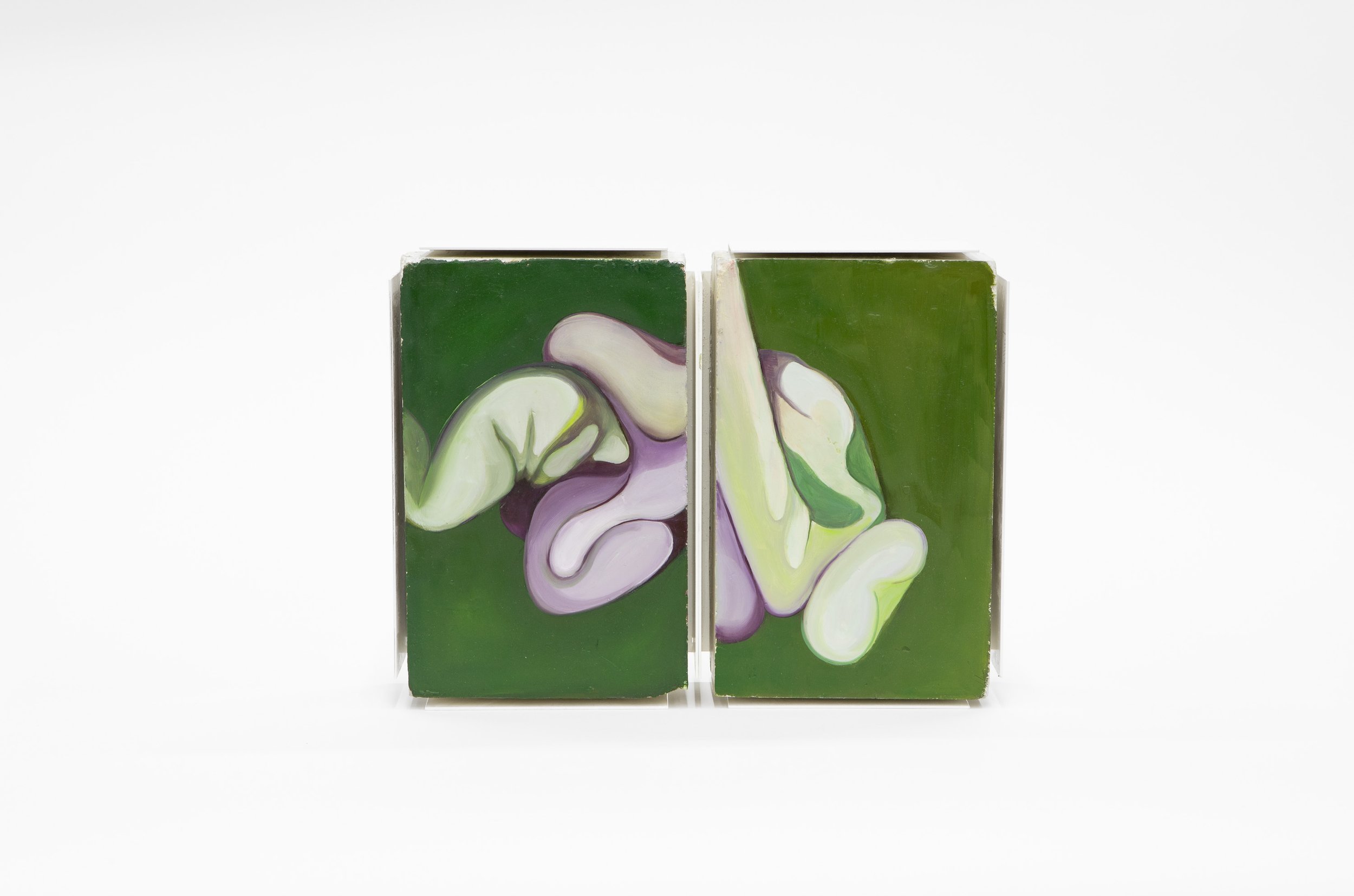 Dos cajas de jabón con ilustraciones abstractas en tonos verdes, blancos y púrpuras, colocadas sobre un fondo blanco.
