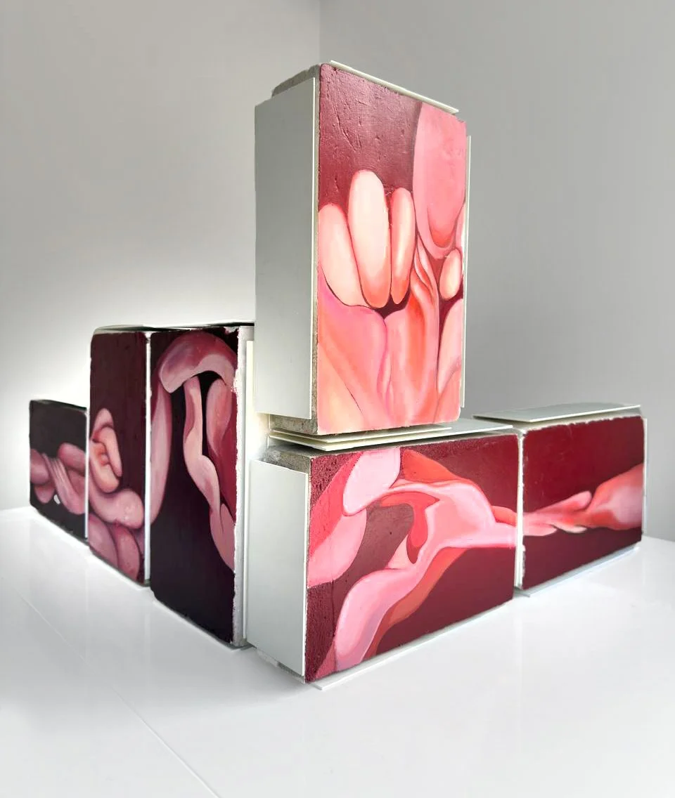 Conjunto de bloques que forman una escultura abstracta con pinturas de formas que parecen órganos internos en tonos rosados y rojos.