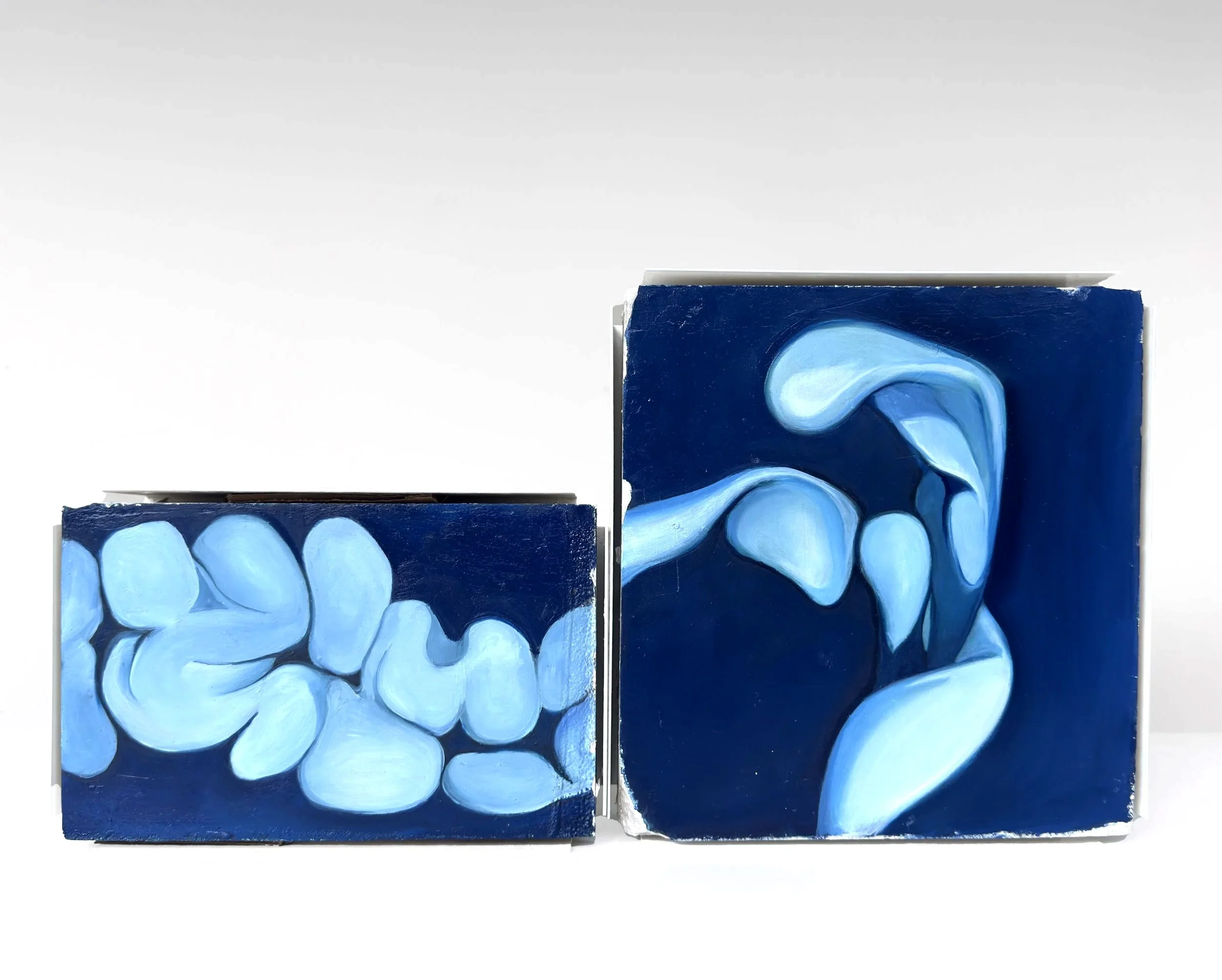 Dos cajas de leche con un diseño artístico en tonos azules