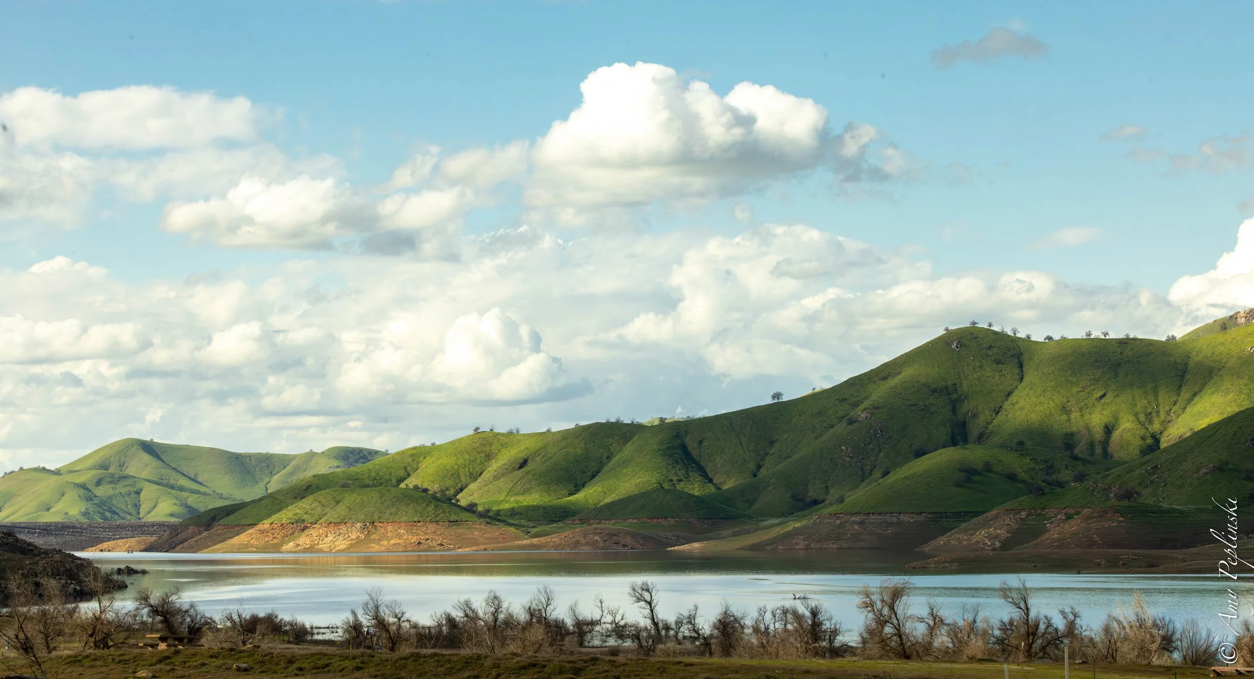 A blanket of green of the foothills of Sequoia National Park
