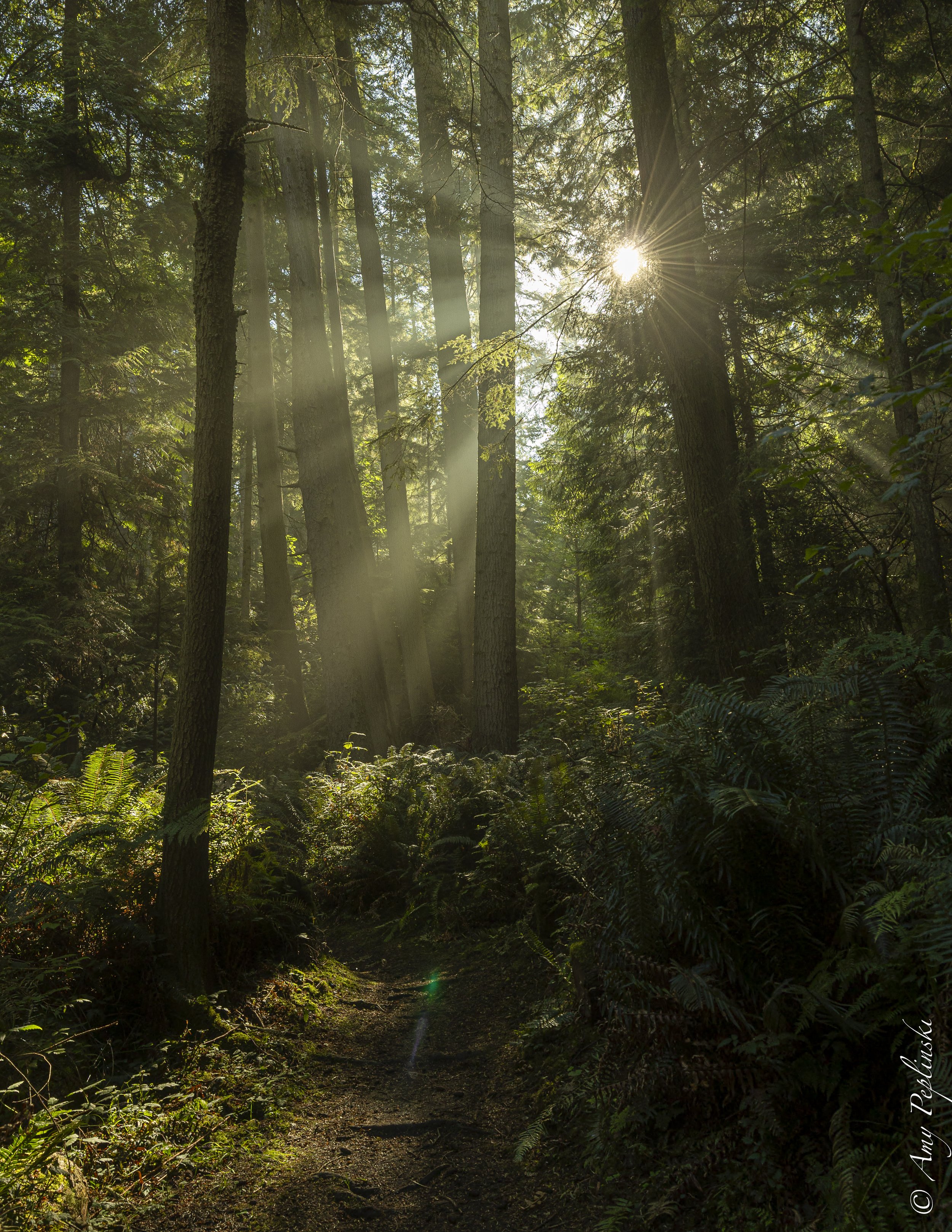 Deception Pass walk with a friend