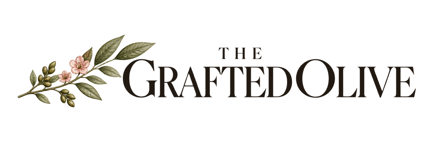 The Grafted Olive