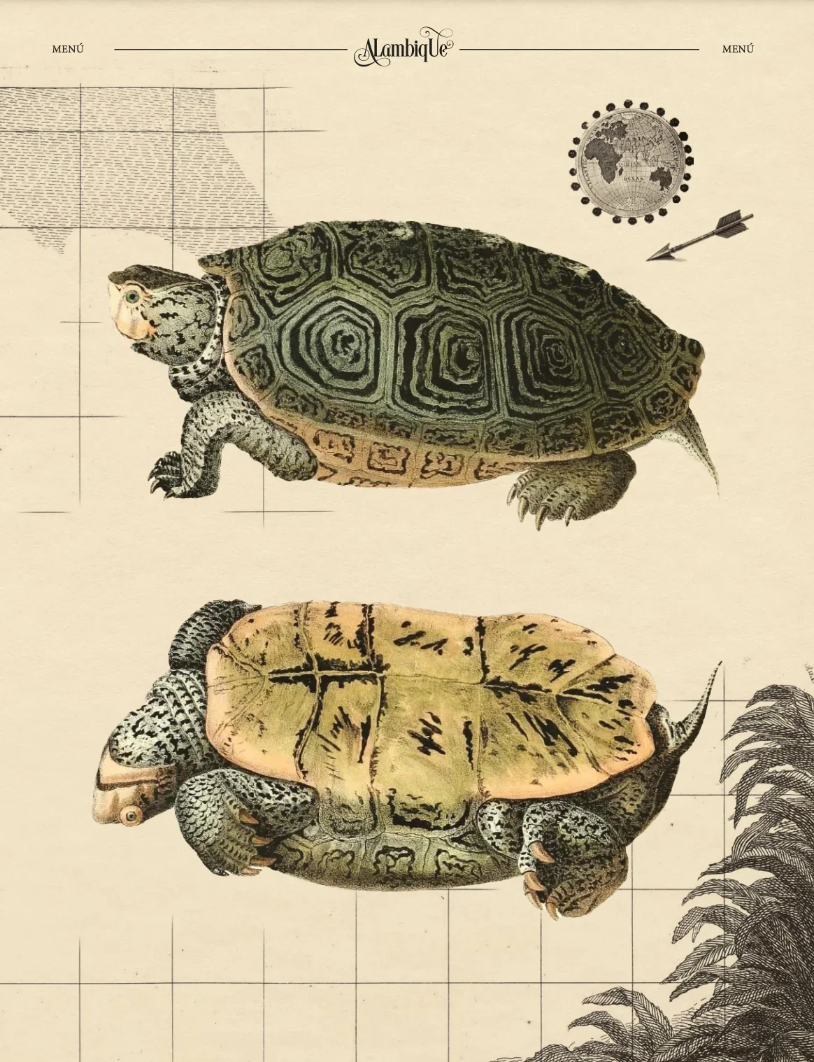 alambique-17-menu-expedicion-tortugas.webp