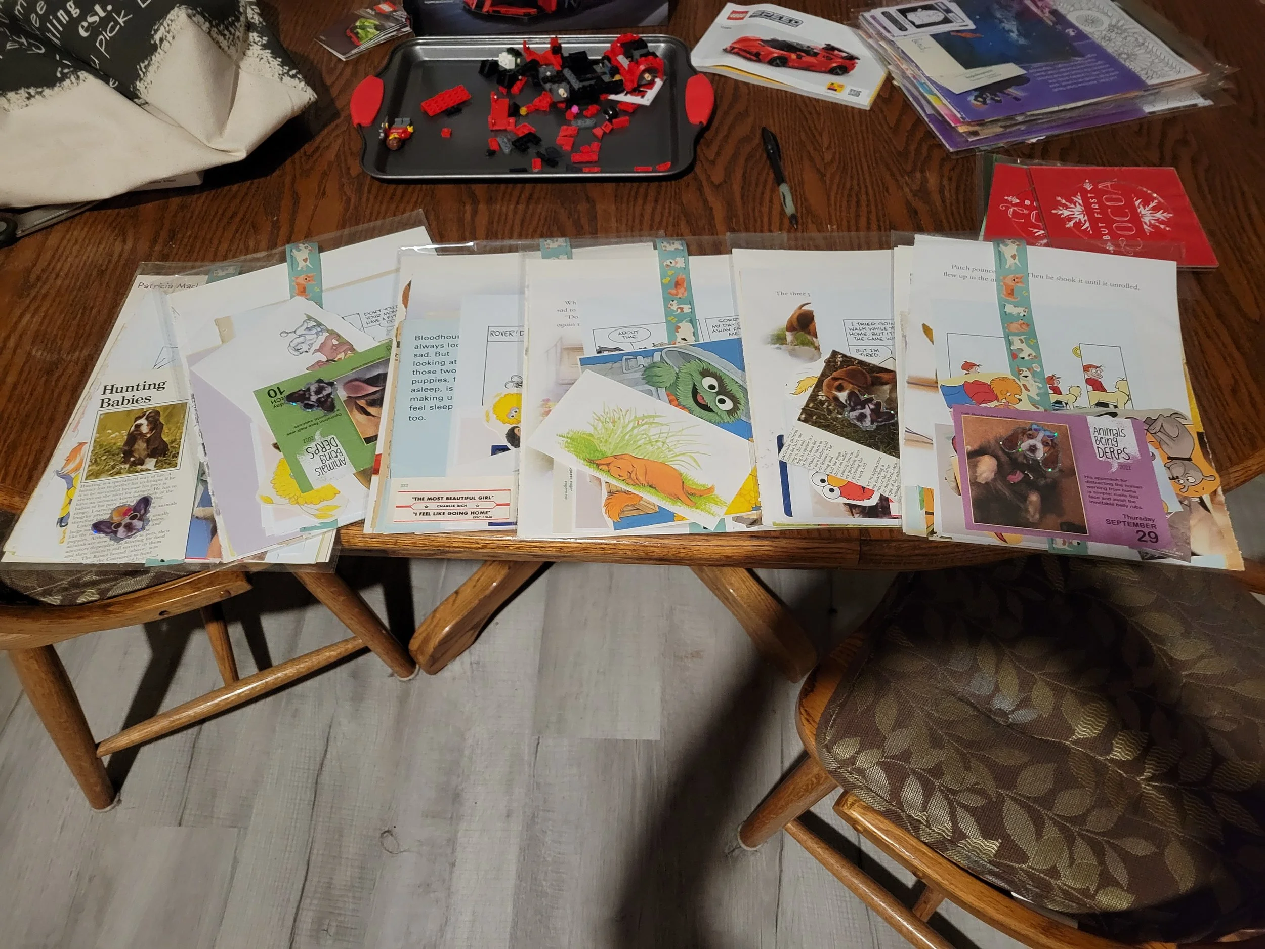 20260921_203409.jpg