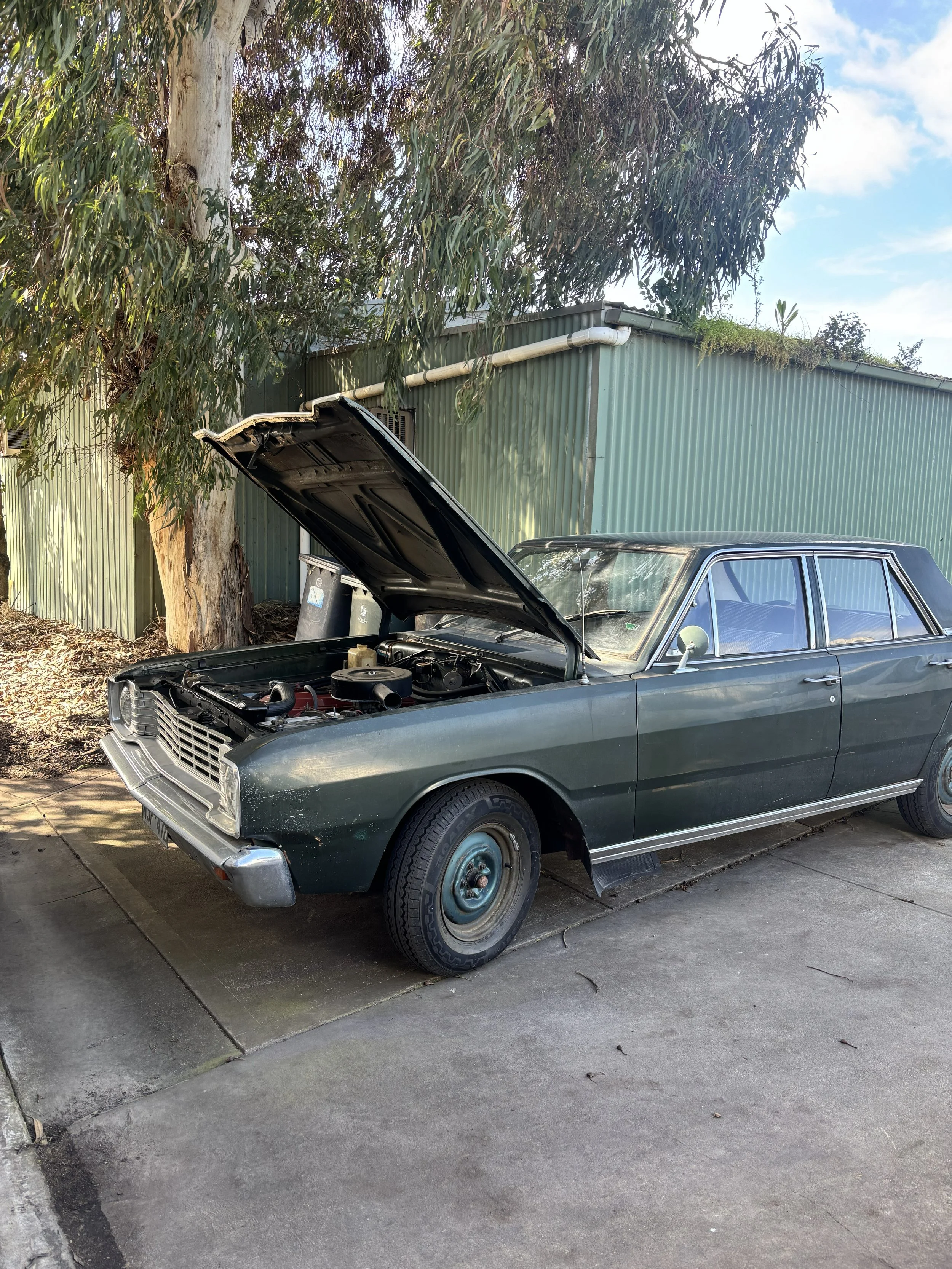 An old gray car with its hood open parked on a concrete driveway. There is a large tree and a green corrugated metal building in the background under a blue sky with some clouds.