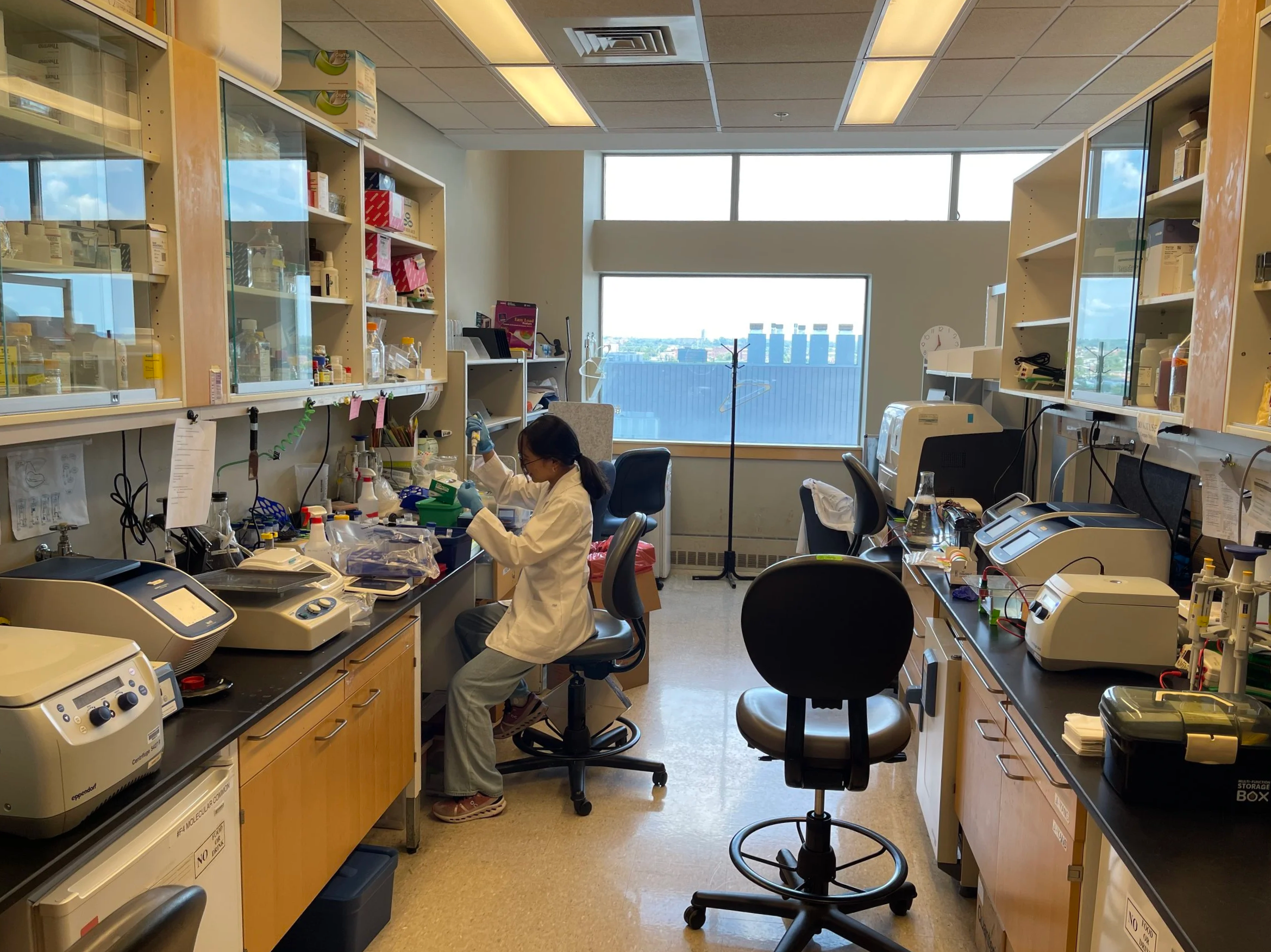 Johns Hopkins School of Medicine