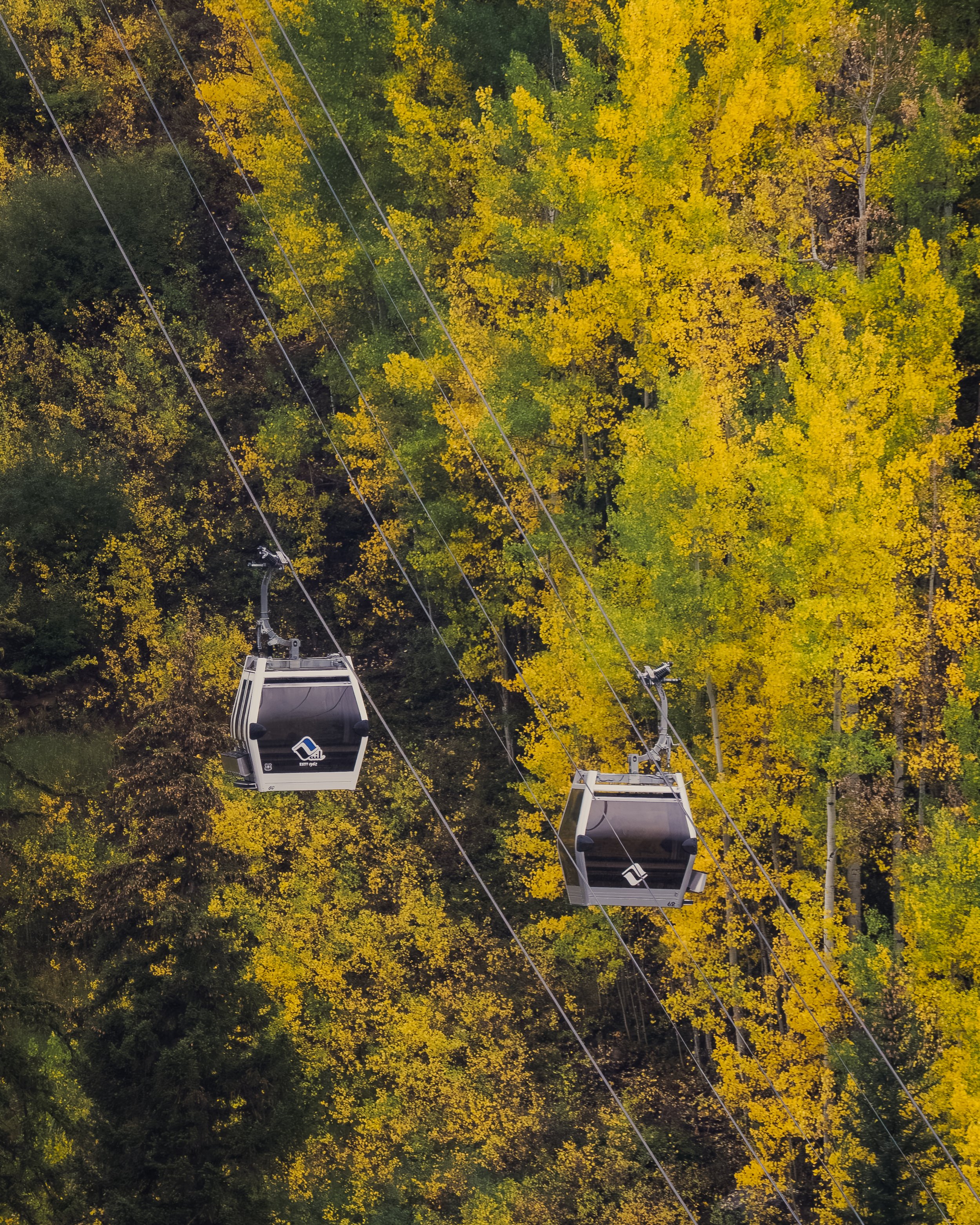 vail-foliage p4.jpg