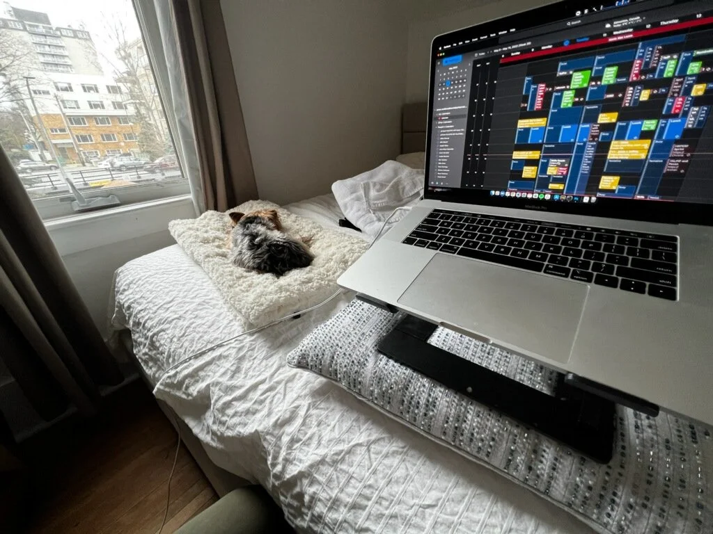 Laptop on a bed displaying a photo editing software, next to a sleeping dog on a blanket by a window showing an urban scene.