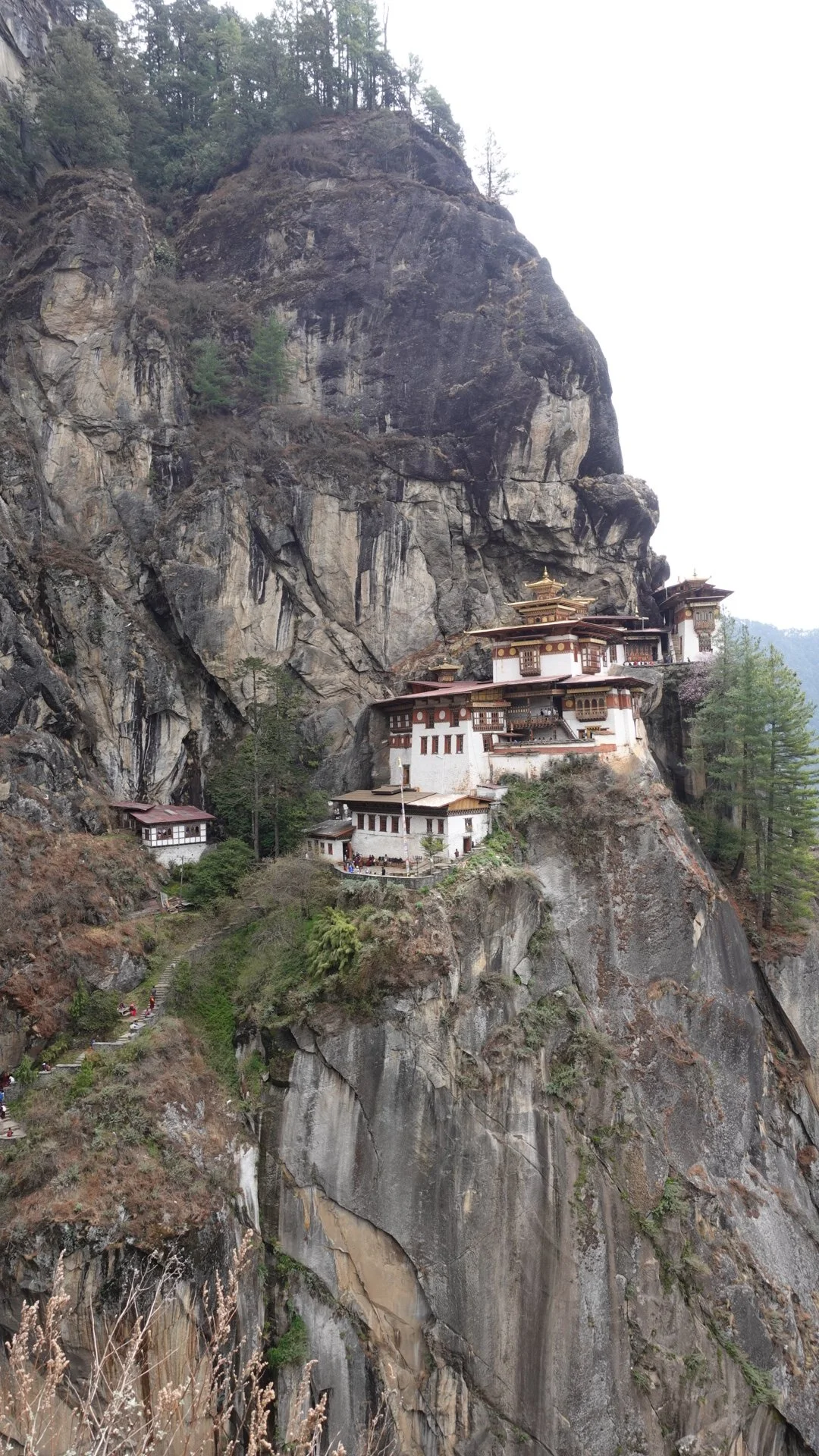 A monastery built into the side of a tall rocky mountain with trees, overlooking a valley