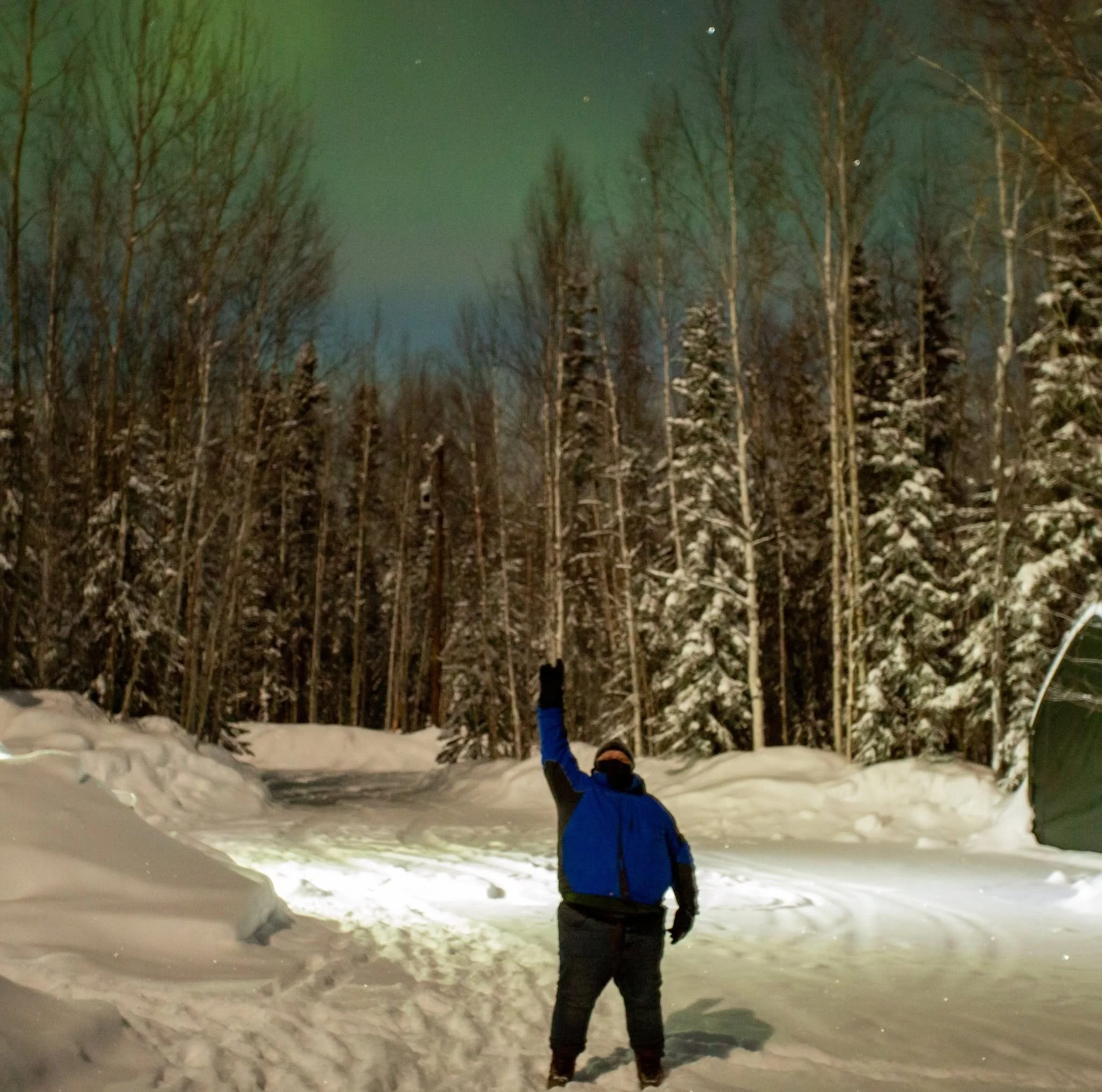Child in blue jacket and hat standing in snow at night, holding snowball, surrounded by snow-covered trees.