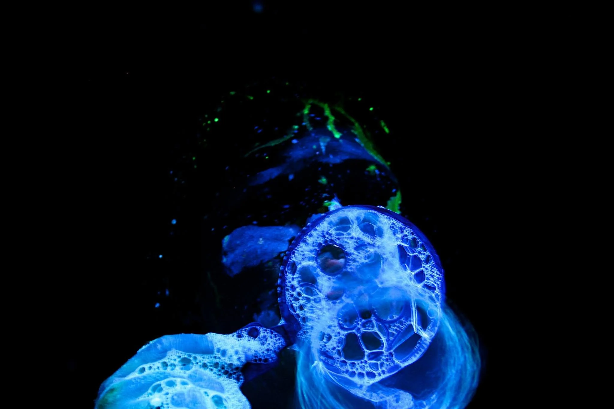 Bioluminescent jellyfish glowing blue and green in dark water.
