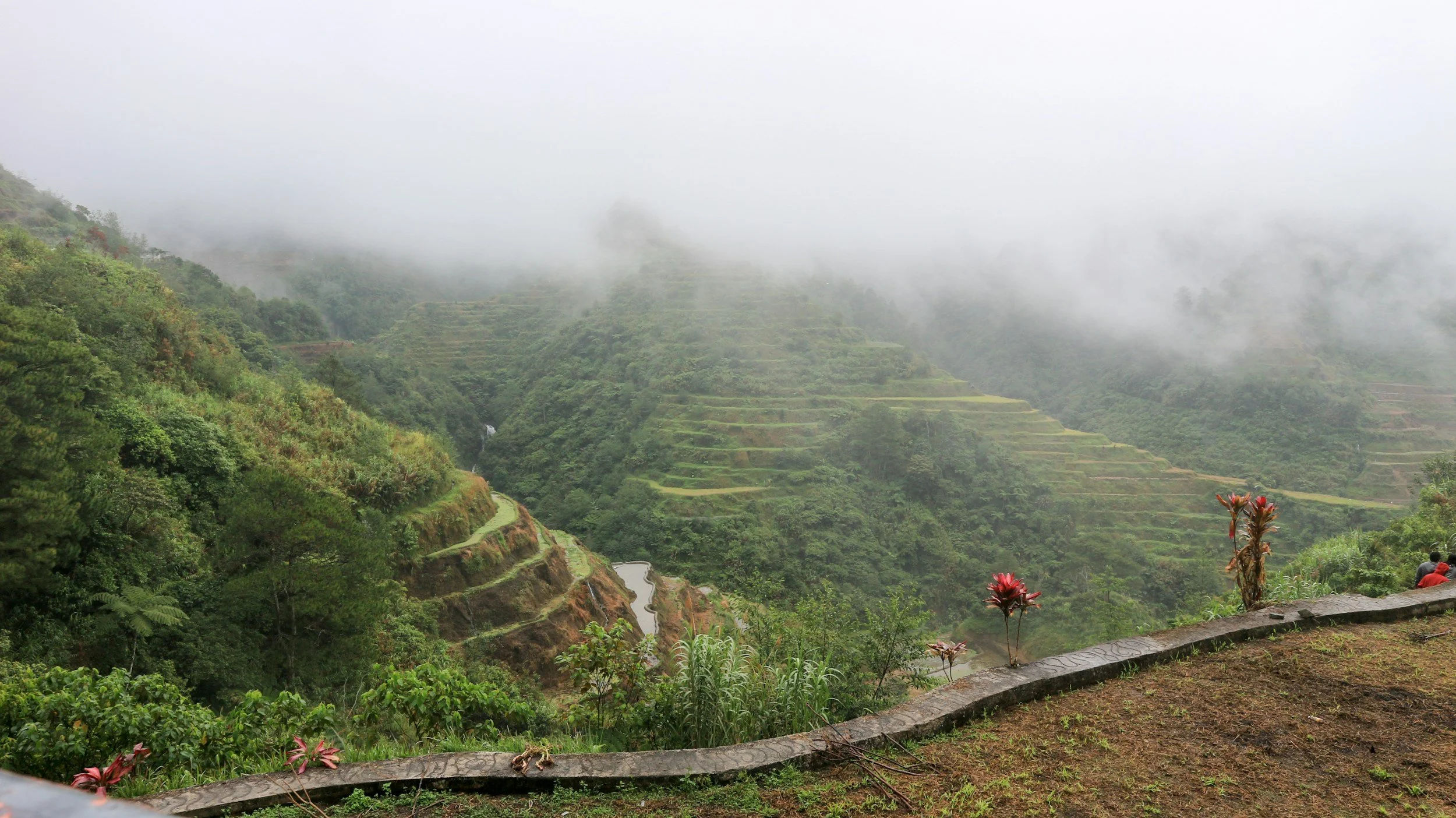 Green terraced hillsides in a mountainous foggy landscape, with a winding path and a few people sitting in the foreground.