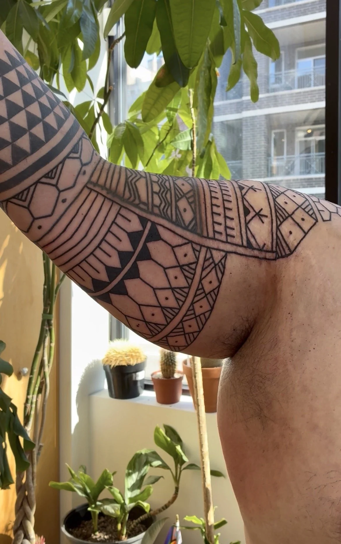 A person's arm with intricate black tribal tattoos, standing in front of potted plants and a window with a view of an apartment building.