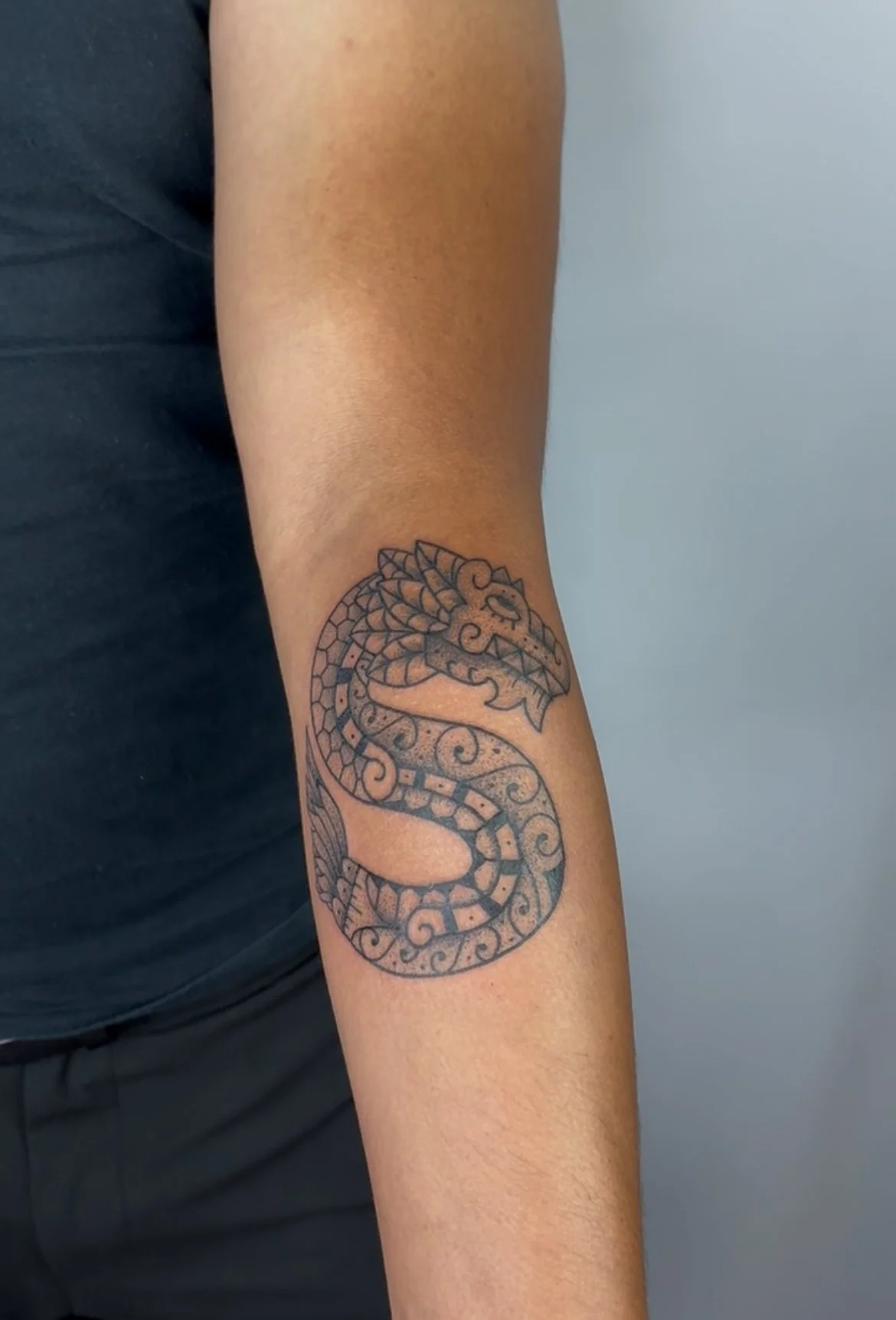 Tattoo of a stylized dragon on person's forearm.