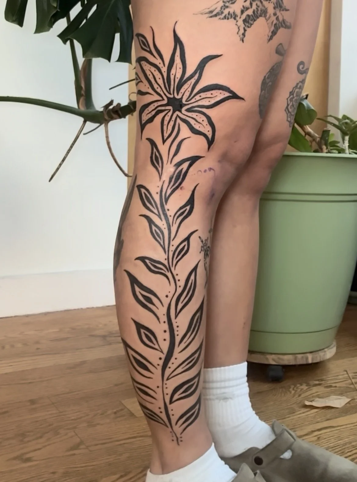 A person's leg with a black tribal-style tattoo of a large flower with leaves down the calf, standing next to a green plant in a pot.
