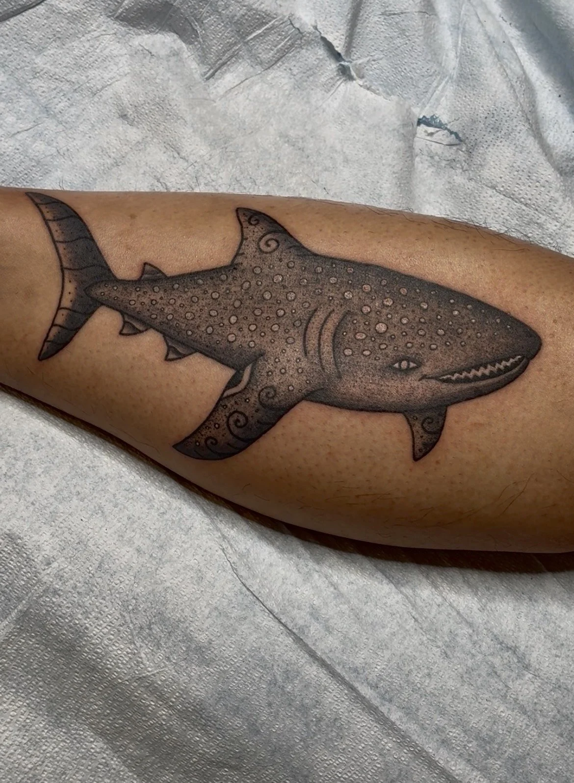 Tattoo of a stylized shark with detailed patterns on an arm.