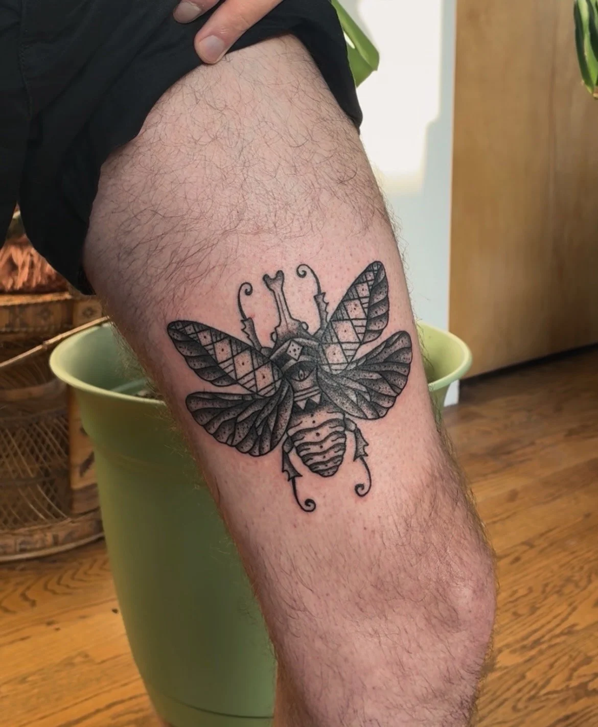 Black and gray tattoo of a moth with intricate geometric and line patterns on its wings, on a person's thigh.
